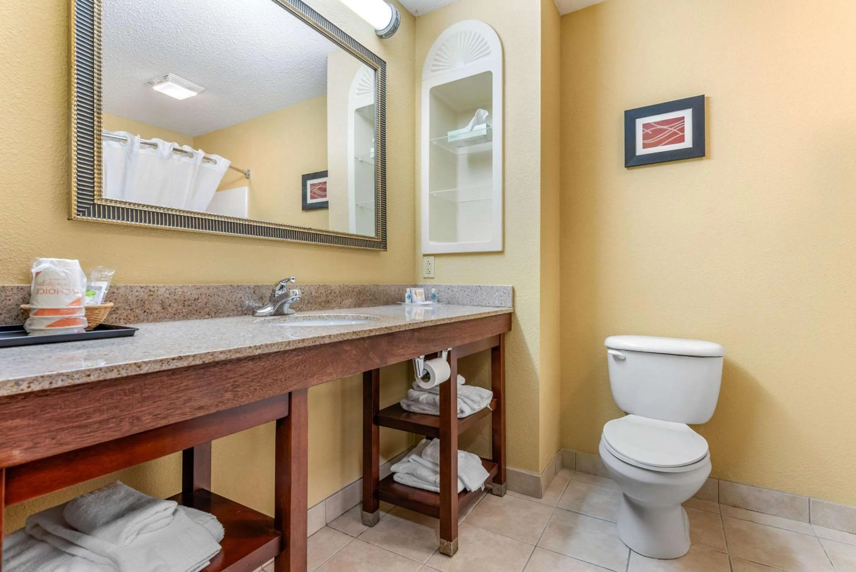 Bathroom in Comfort Suites Findlay I-75 near Sports Complex