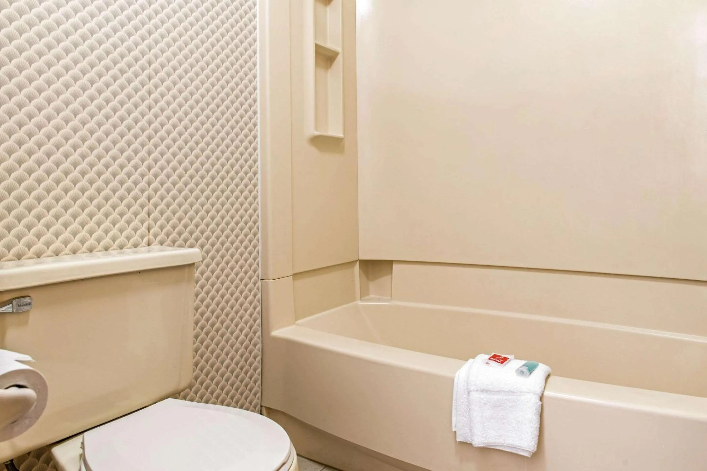 Bathroom in Econo Lodge Holland - Toledo