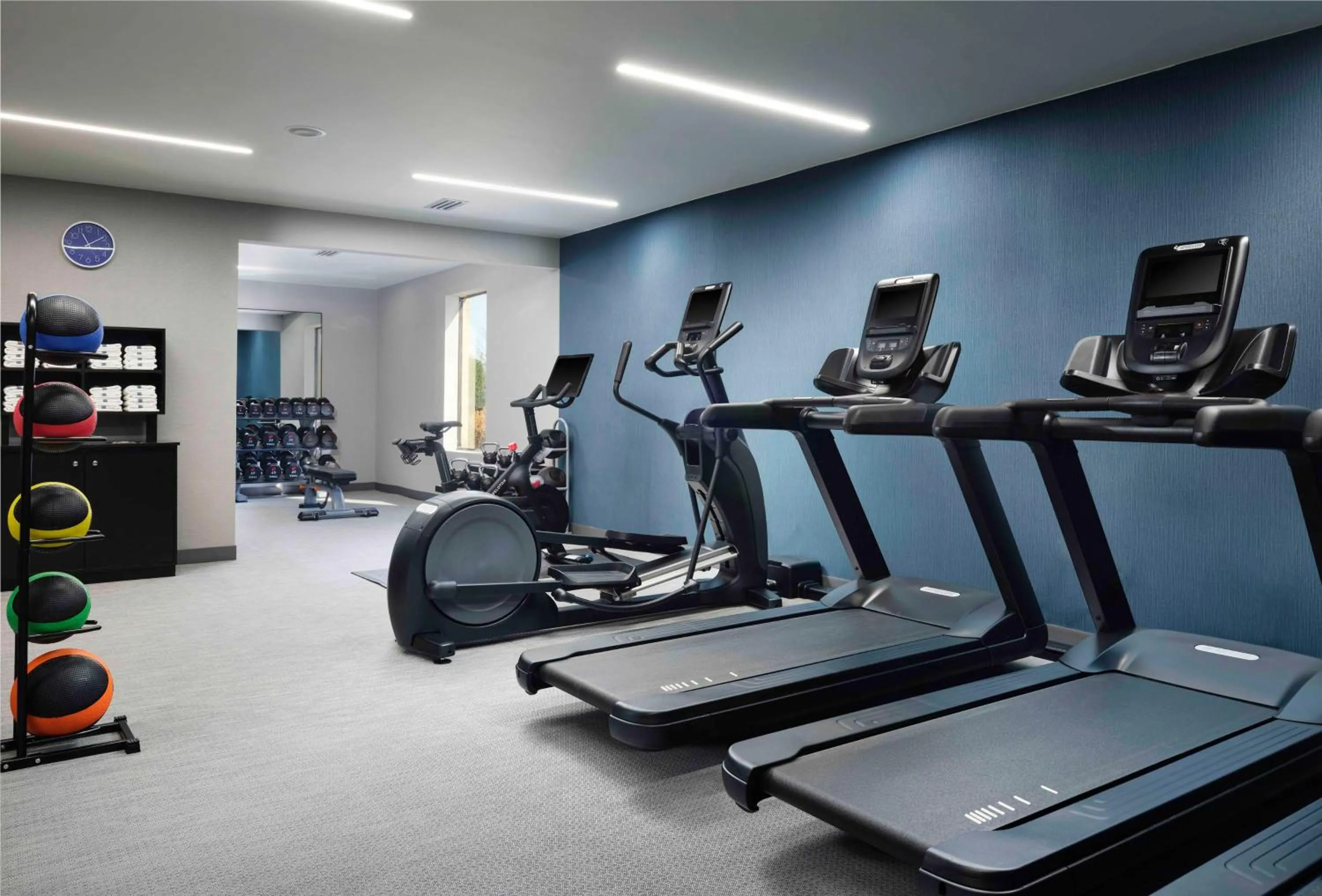 Fitness centre/facilities in Hampton Inn & Suites Dallas-DFW Airport Hurst