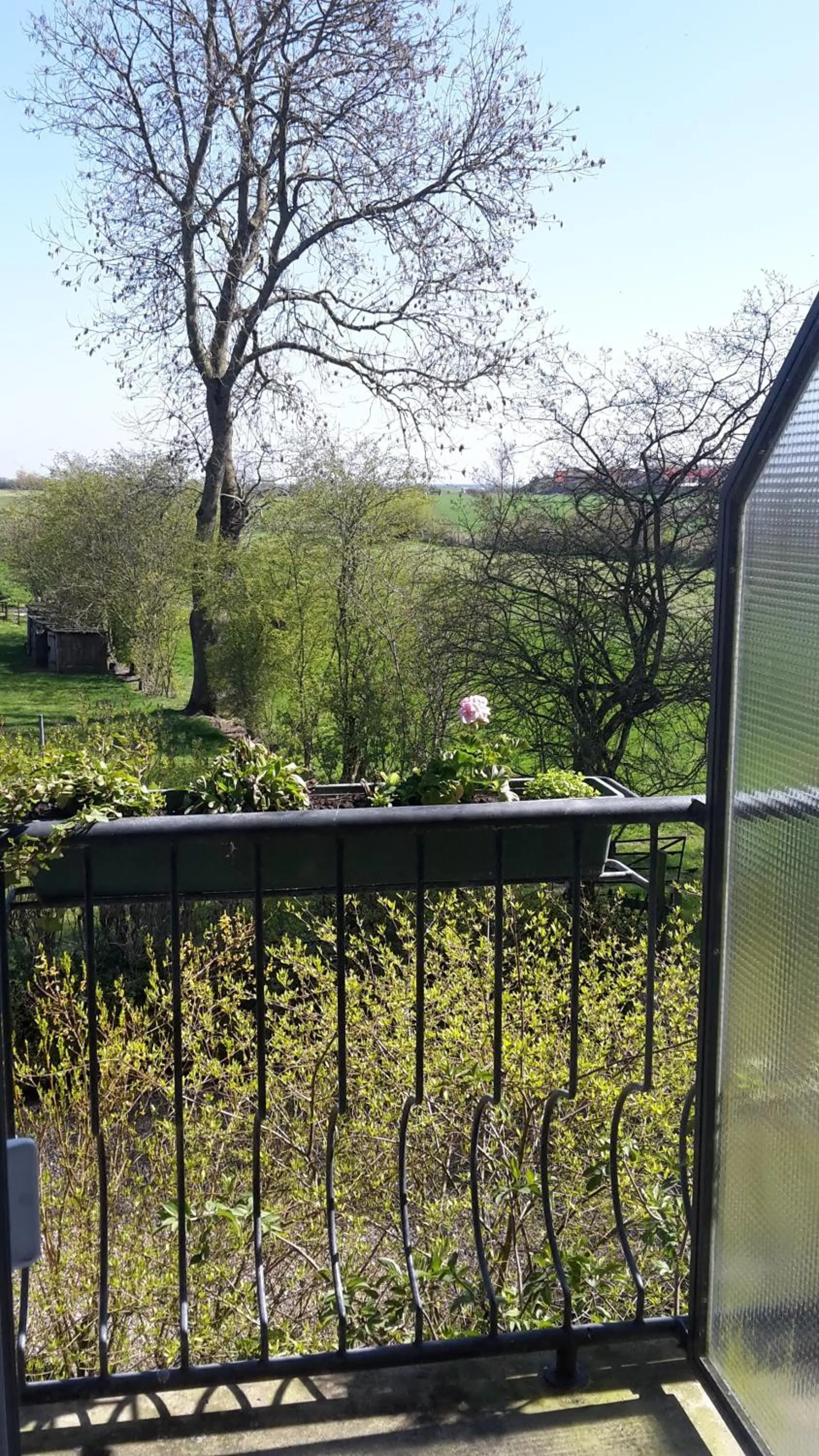 Balcony/Terrace in Hotel Gasthuus Spieskamer