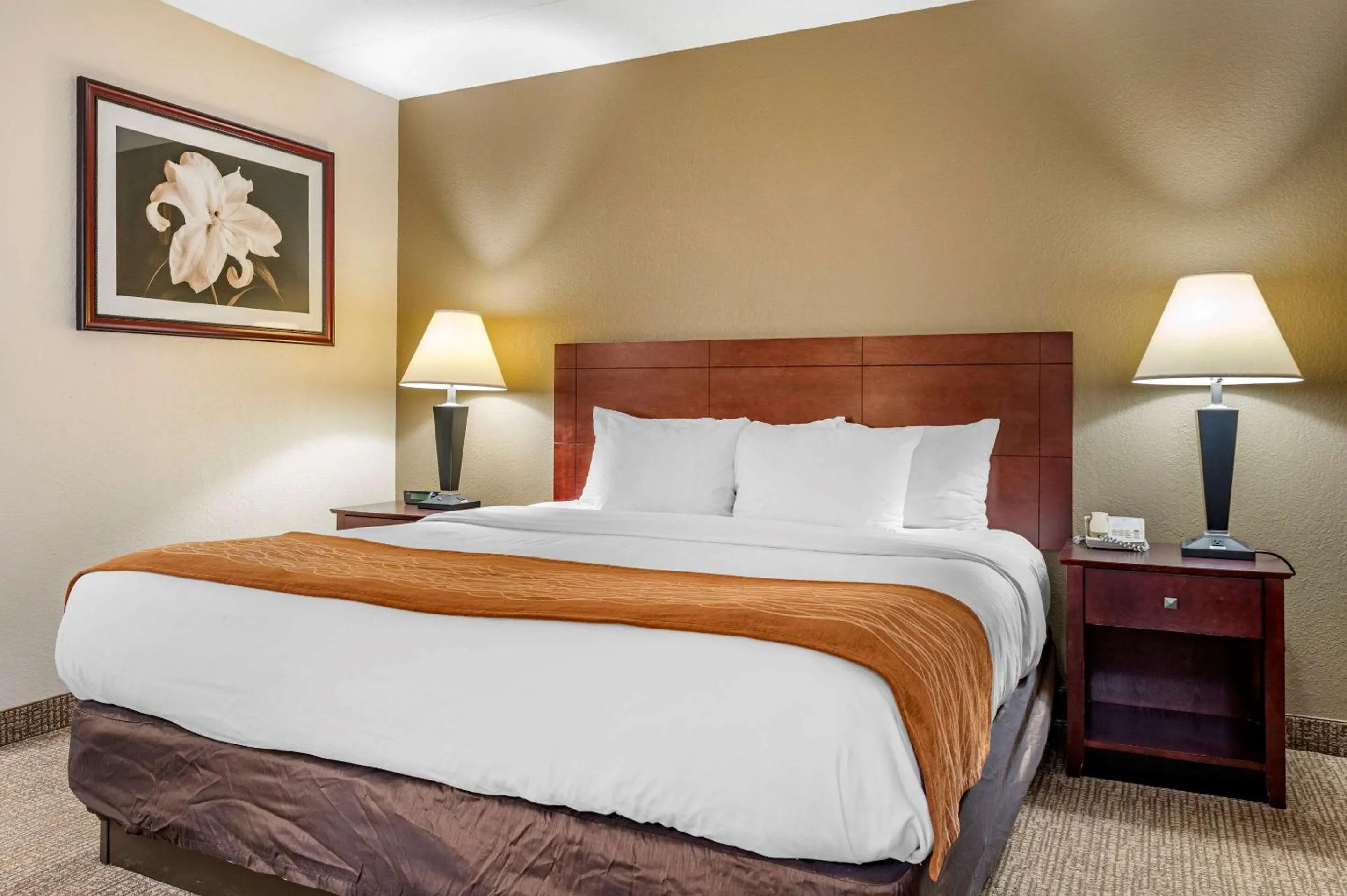 Photo of the whole room, Bed in Comfort Inn Cincinnati Northeast