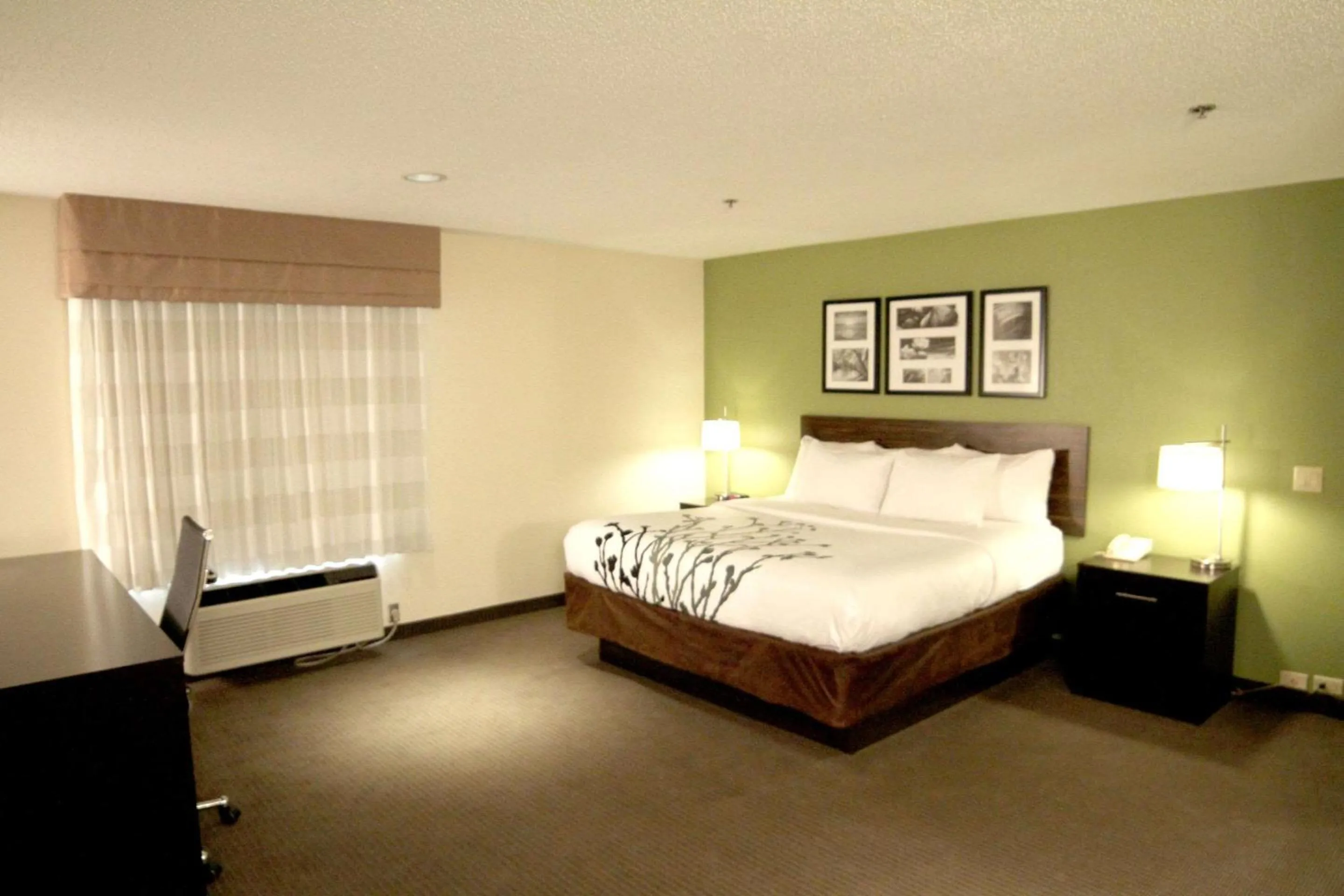 Bedroom in Sleep Inn Sandusky