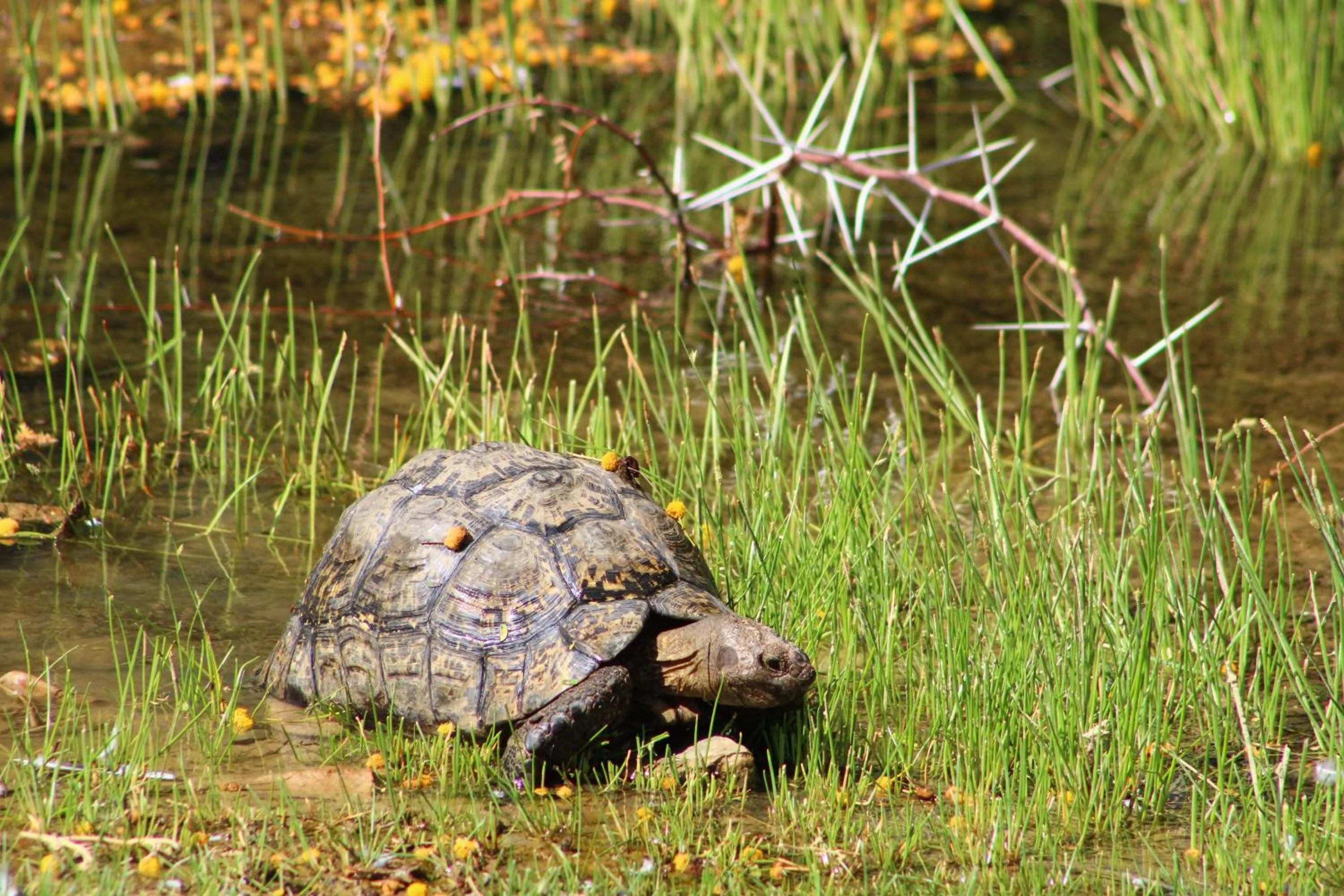 Bosch Luys Kloof Nature Reserve
