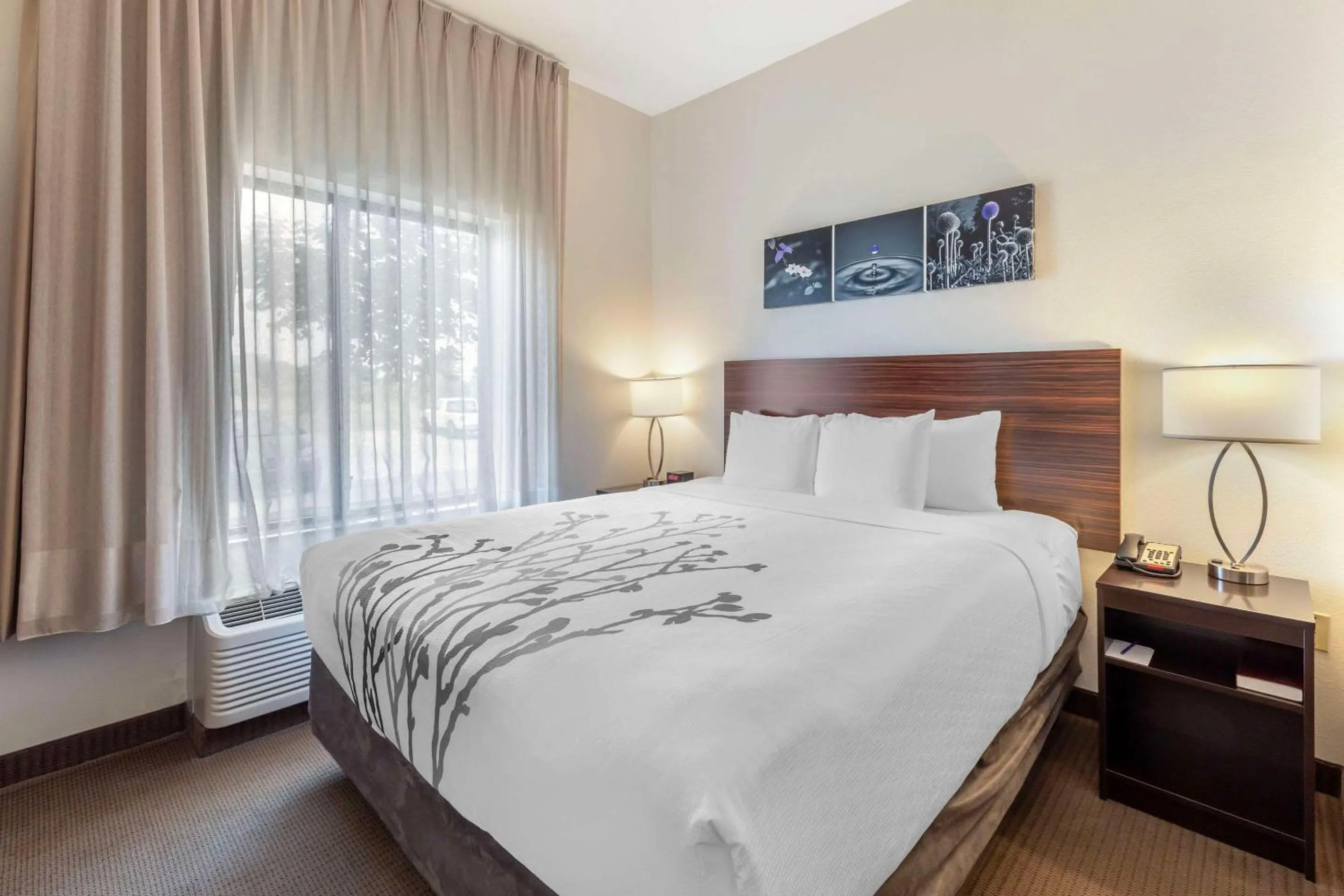 Bedroom, Bed in Sleep Inn & Suites Norman near University