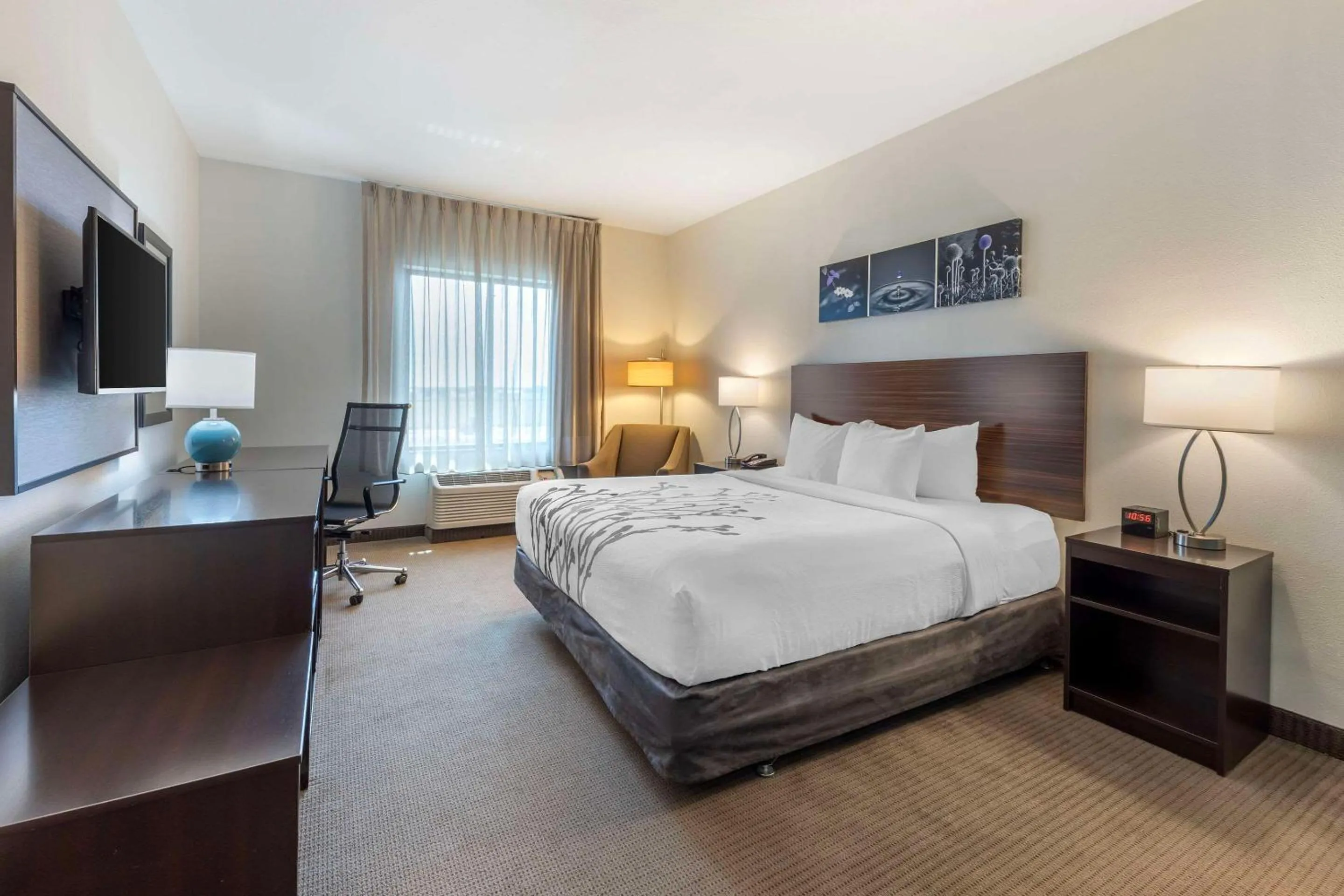 Bedroom, Bed in Sleep Inn & Suites Norman near University