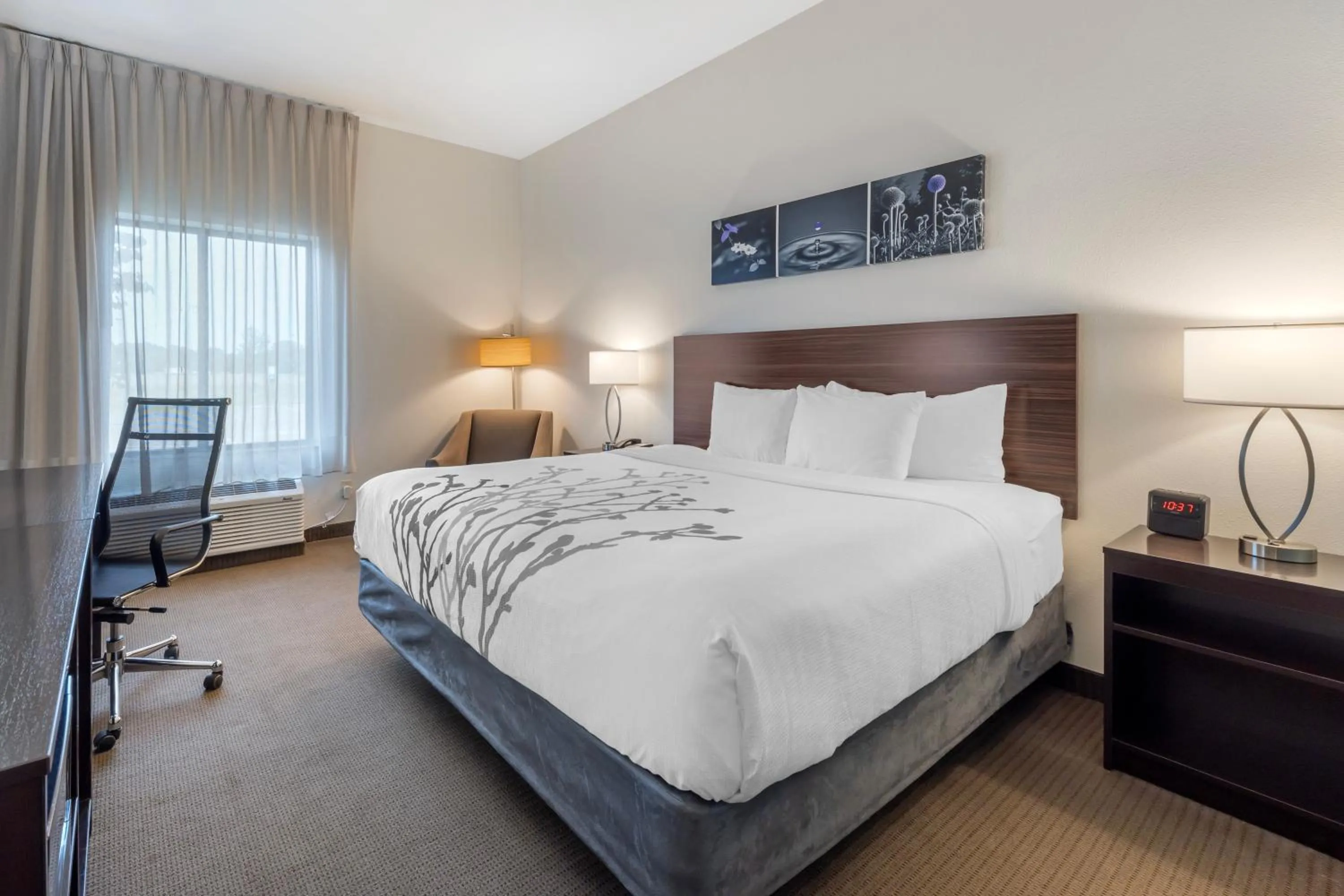 Bed in Sleep Inn & Suites Norman near University