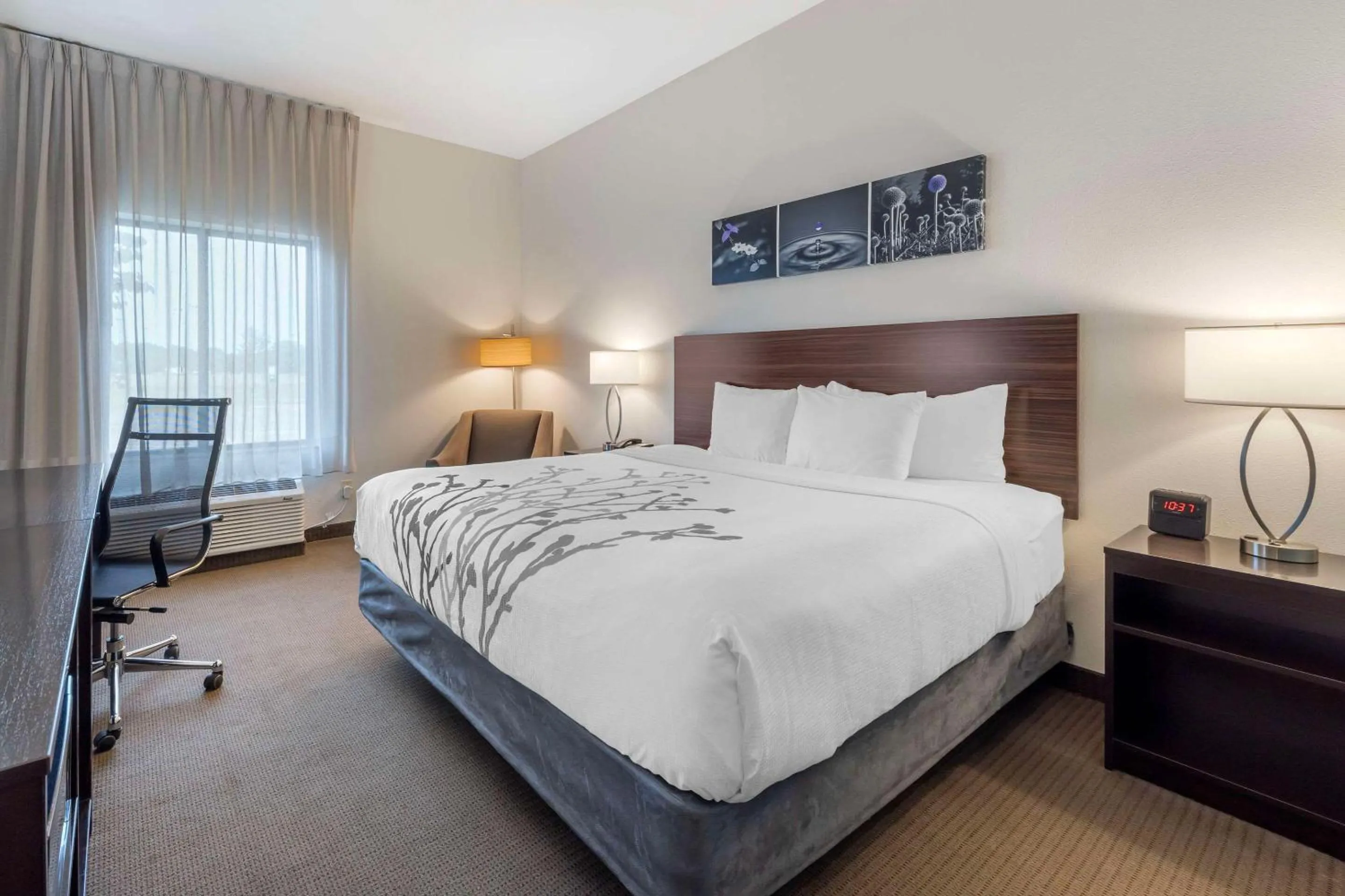 Bedroom, Bed in Sleep Inn & Suites Norman near University