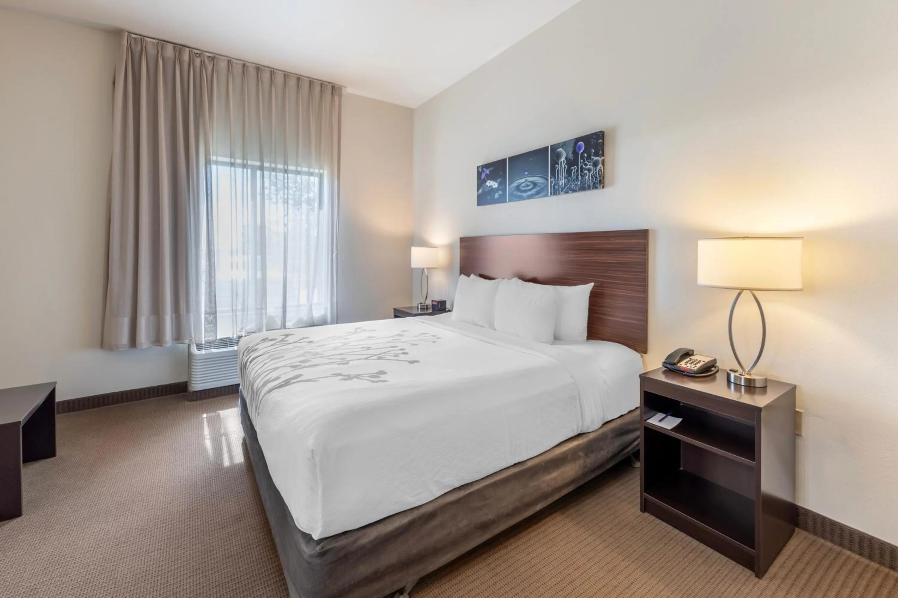 Bed in Sleep Inn & Suites Norman near University