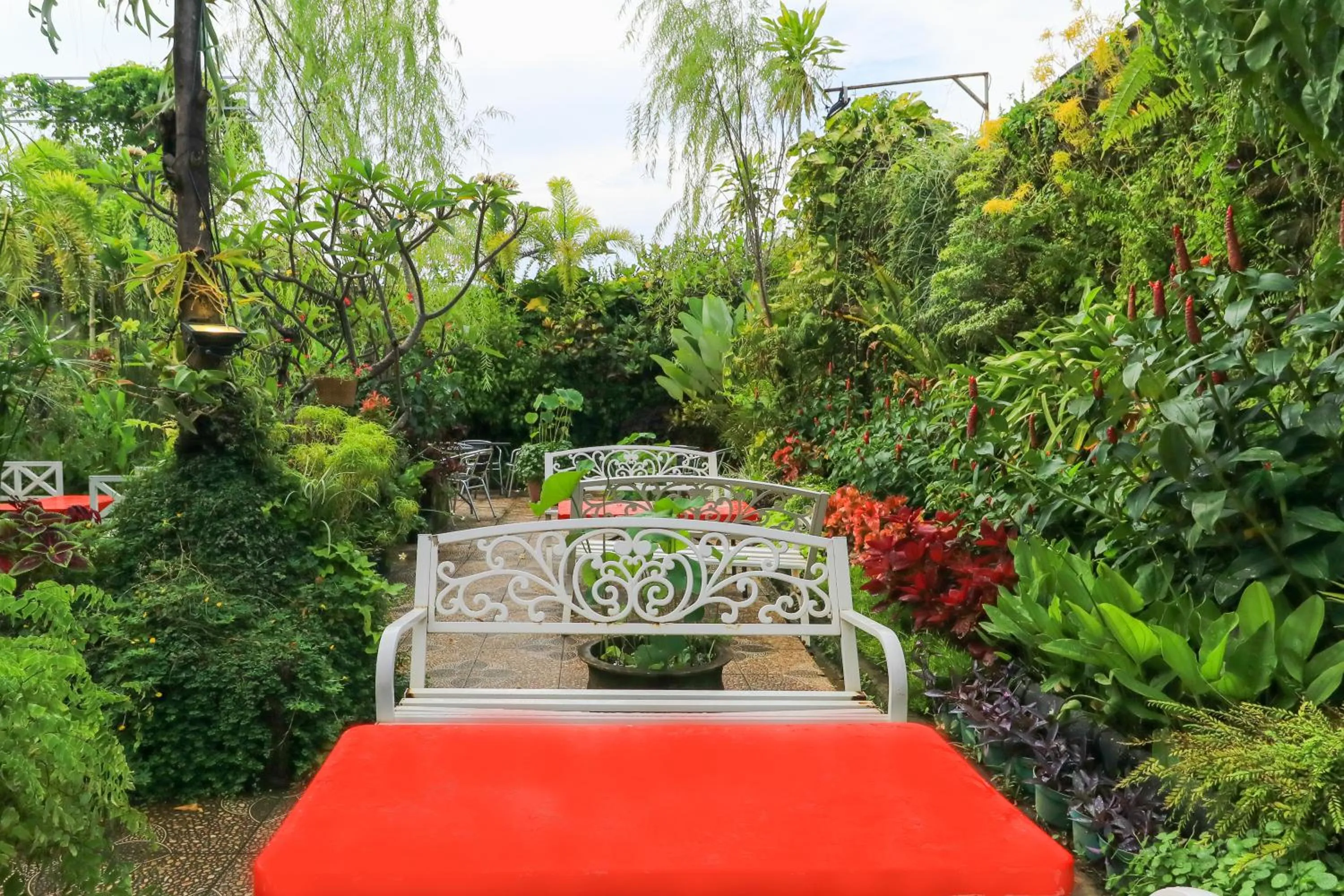 Garden in Labuana Homestay and Cafe Garden Makassar