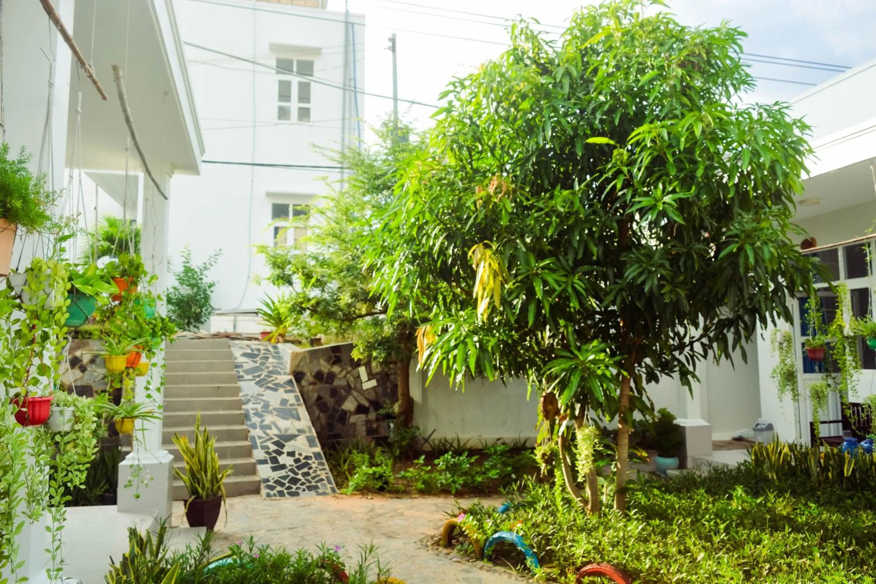 Đồi Dừa Homestay