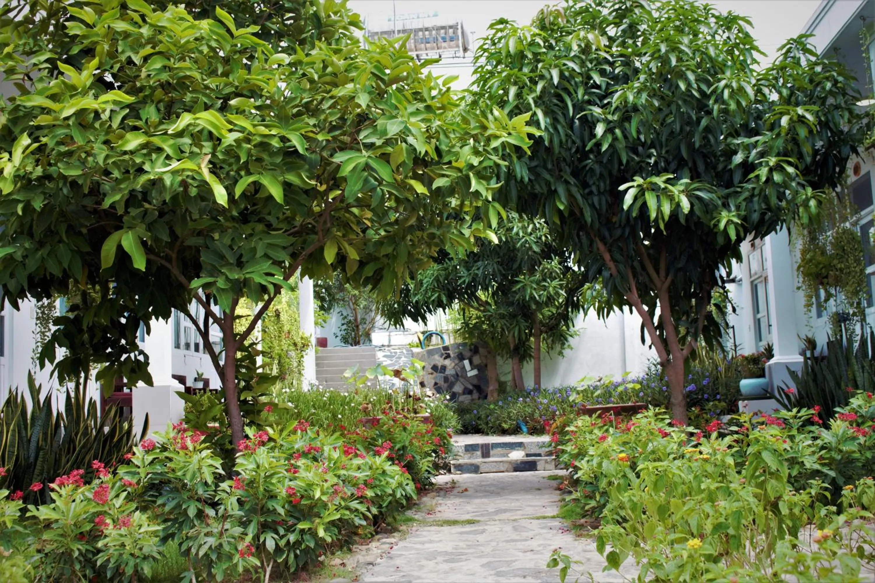 Đồi Dừa Homestay