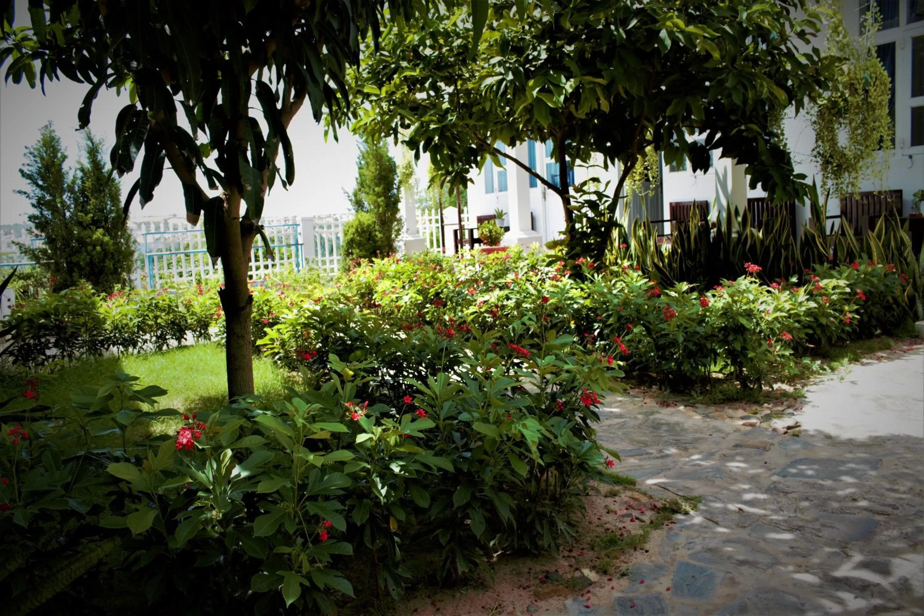 Đồi Dừa Homestay