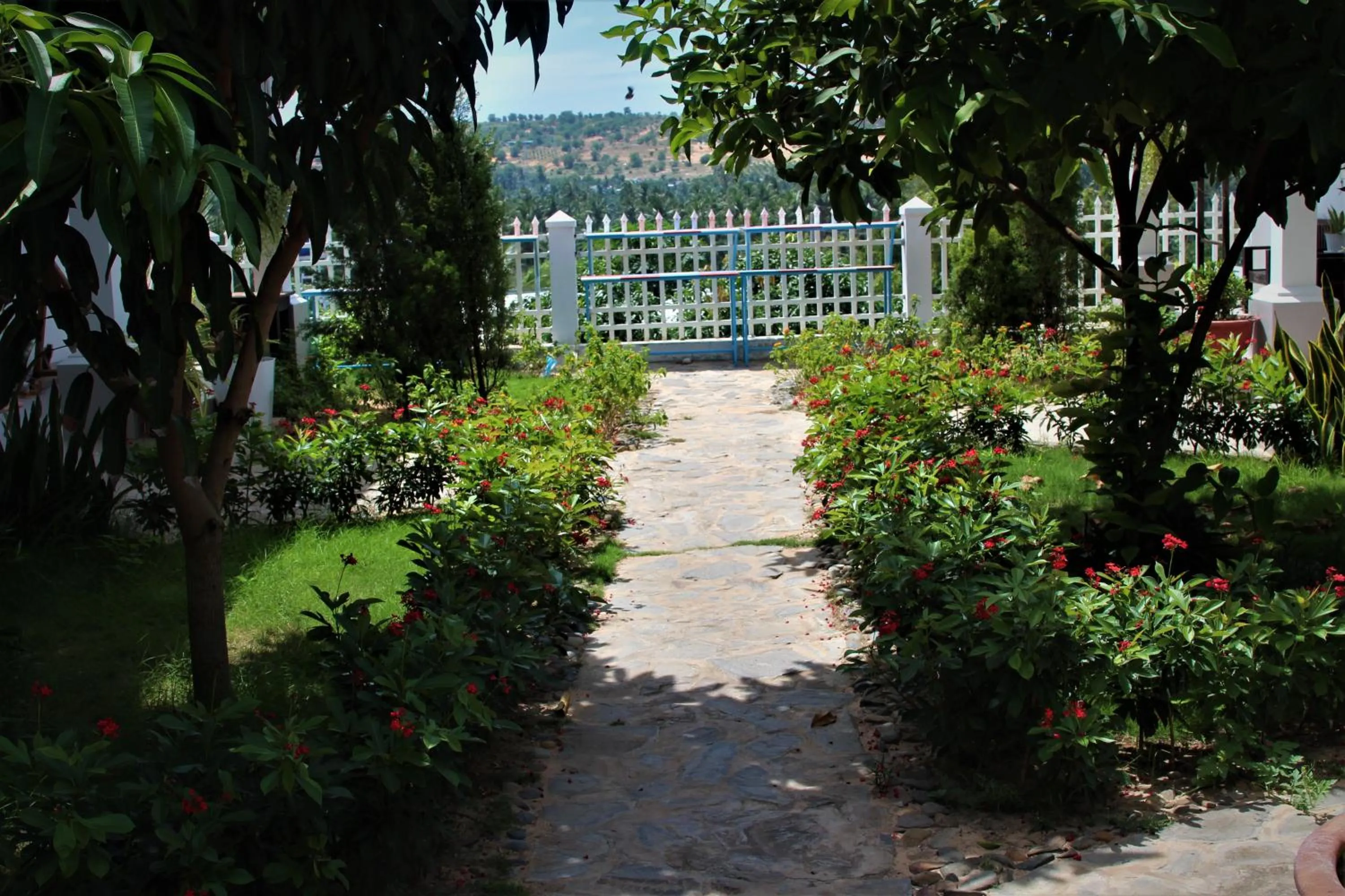 Đồi Dừa Homestay