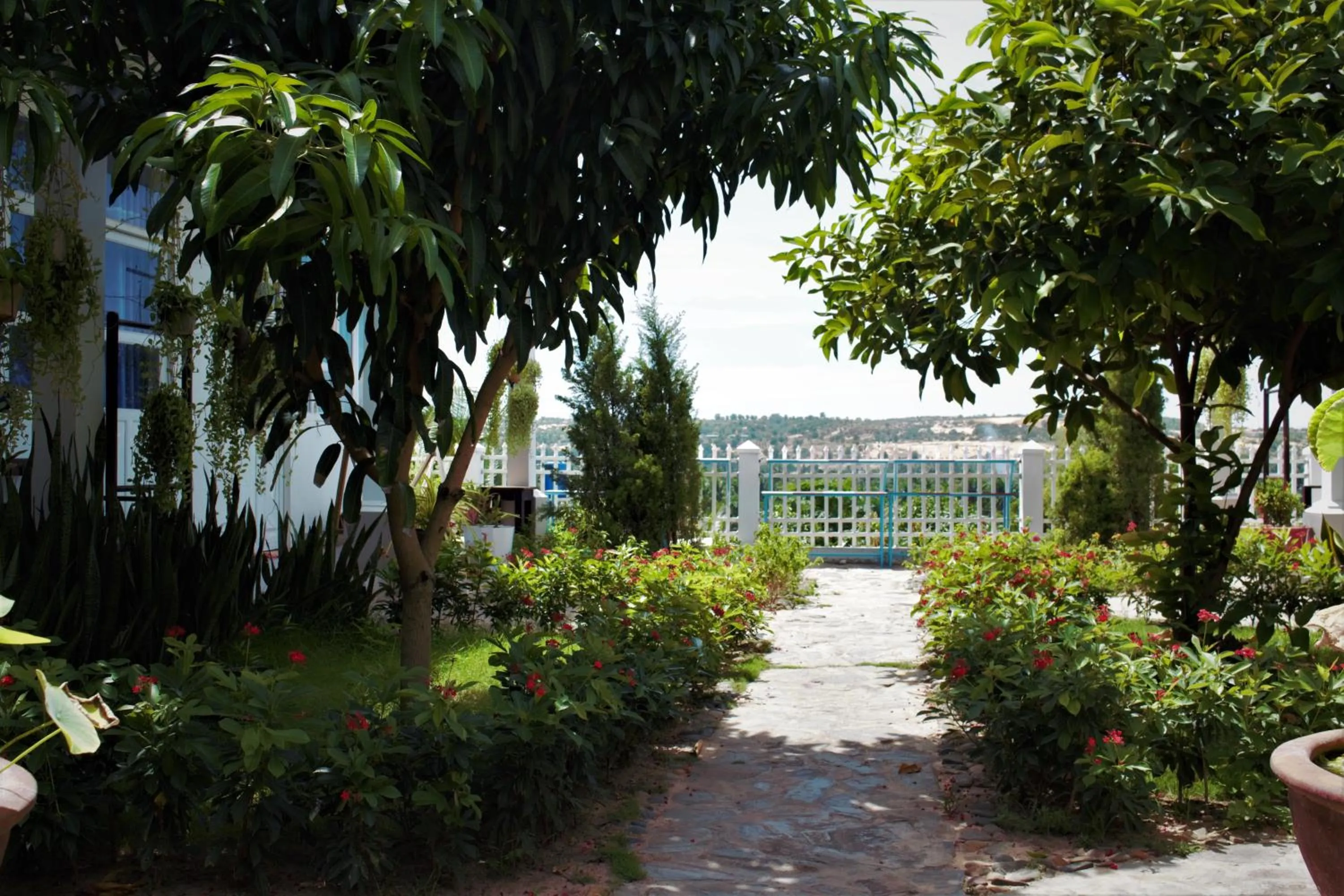 Đồi Dừa Homestay