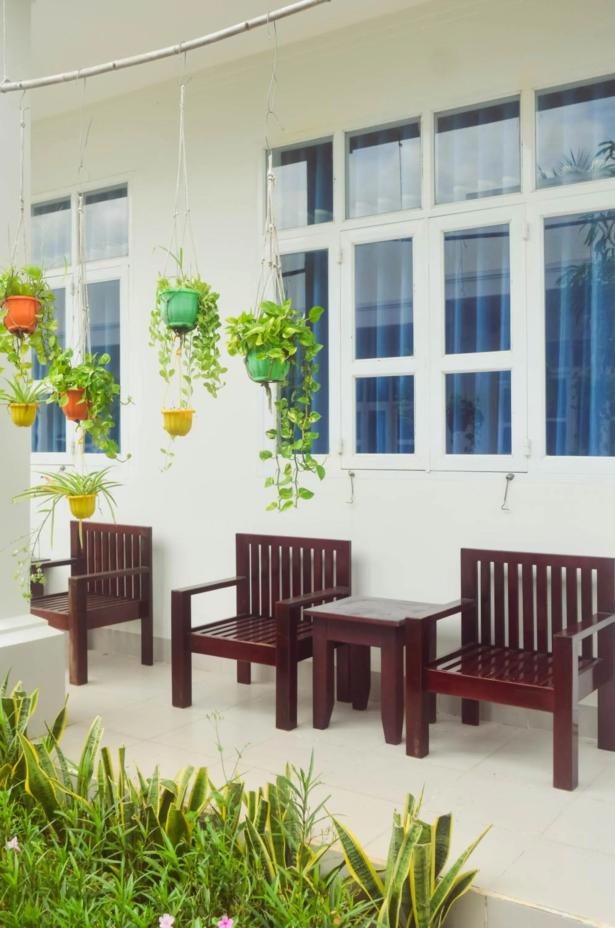 Đồi Dừa Homestay
