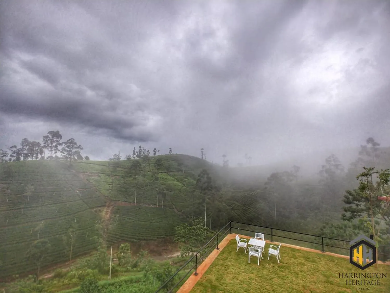 Garden view in Harrington Heritage