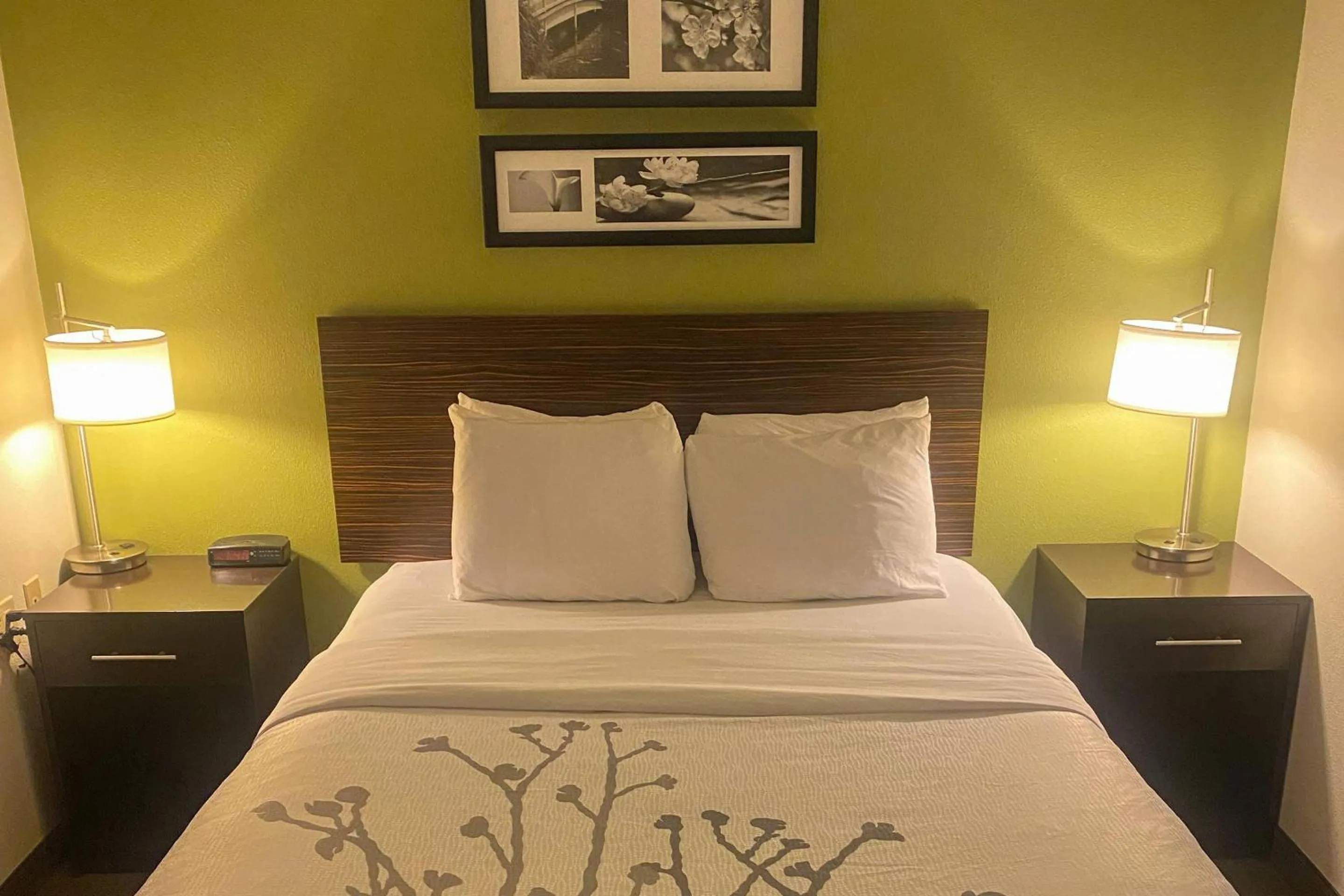 Bedroom in Sleep Inn & Suites Roseburg North Near Medical Center