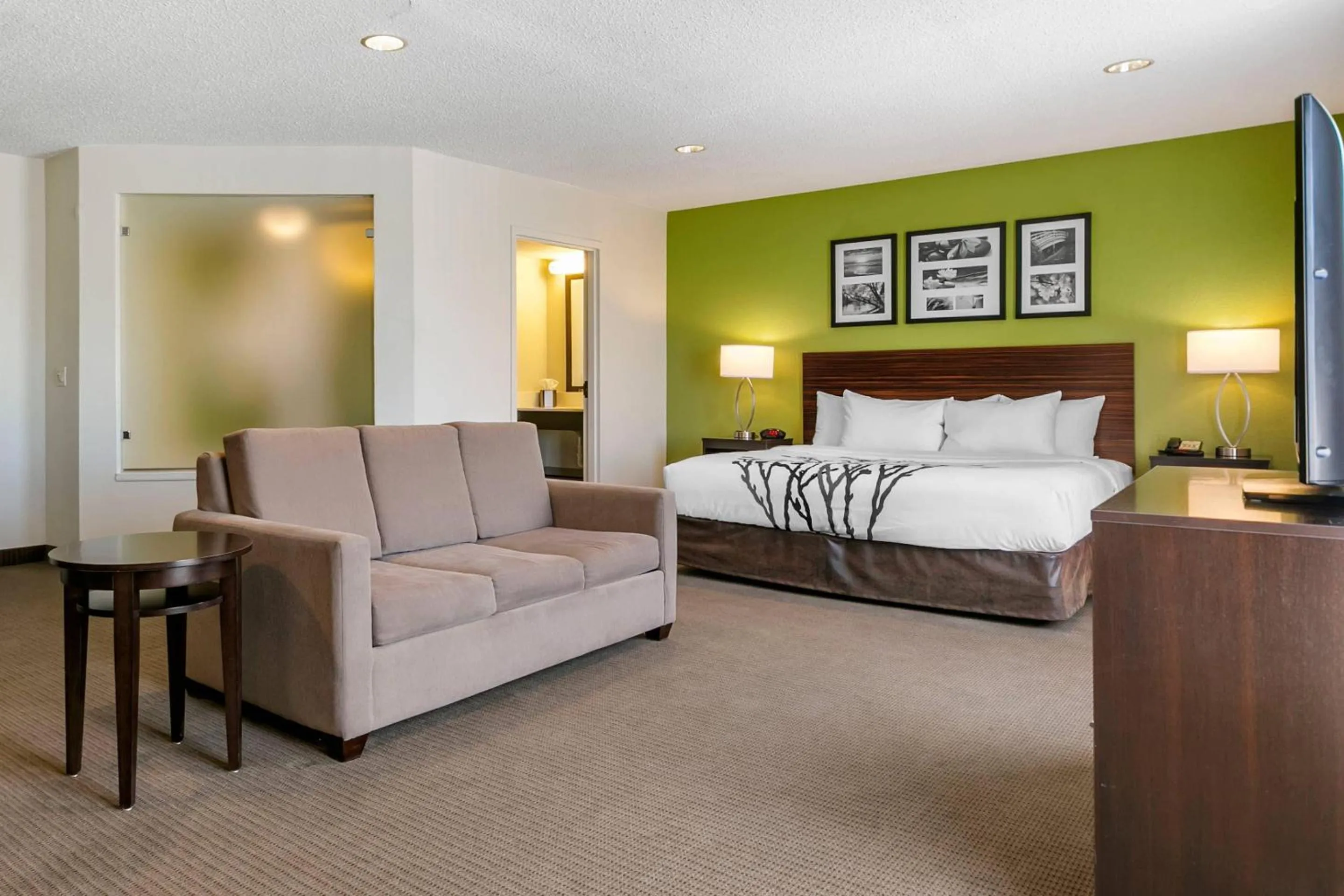 Bedroom, Bed in Sleep Inn Allentown-Fogelsville