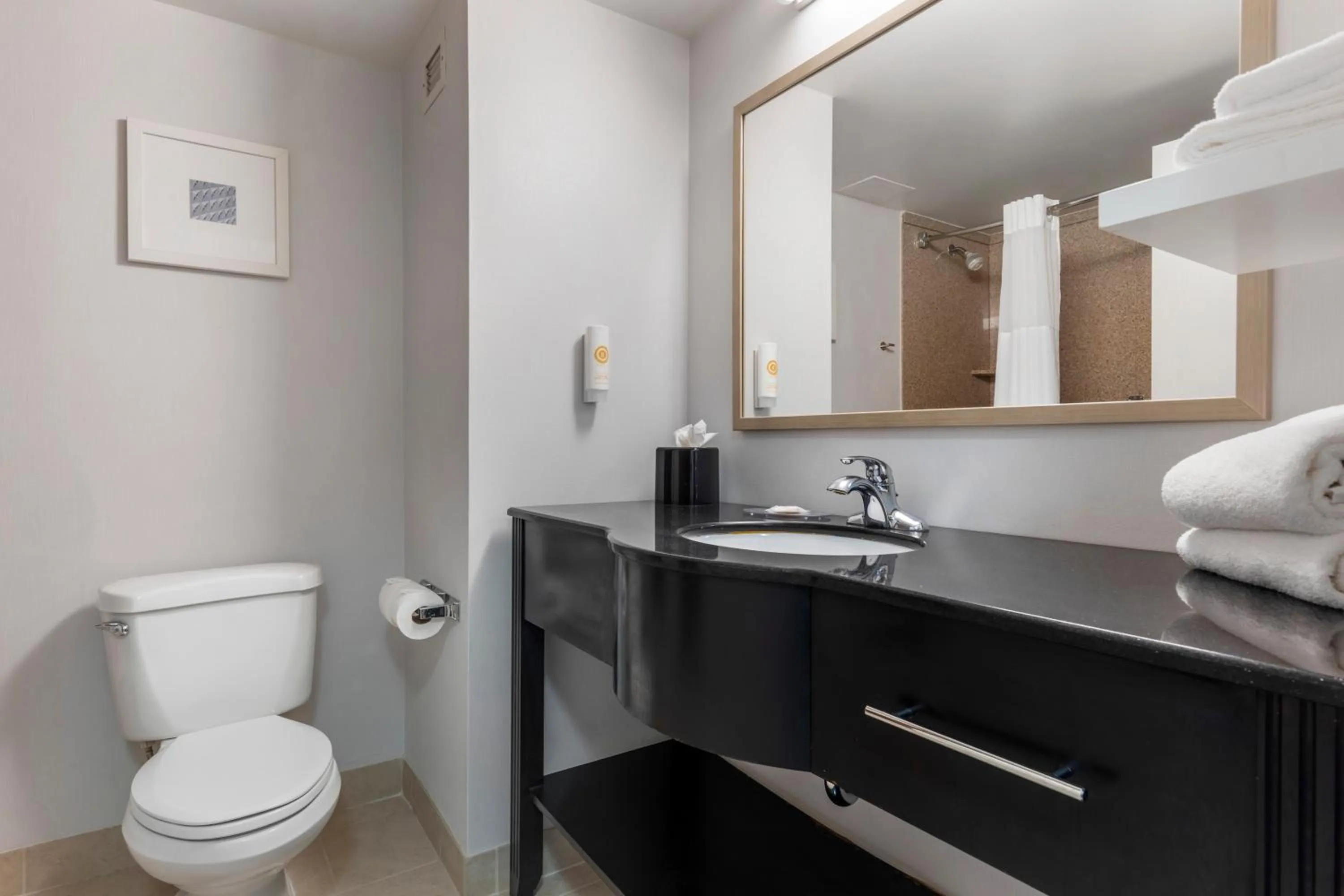 Bathroom in Comfort Inn Plano-Dallas