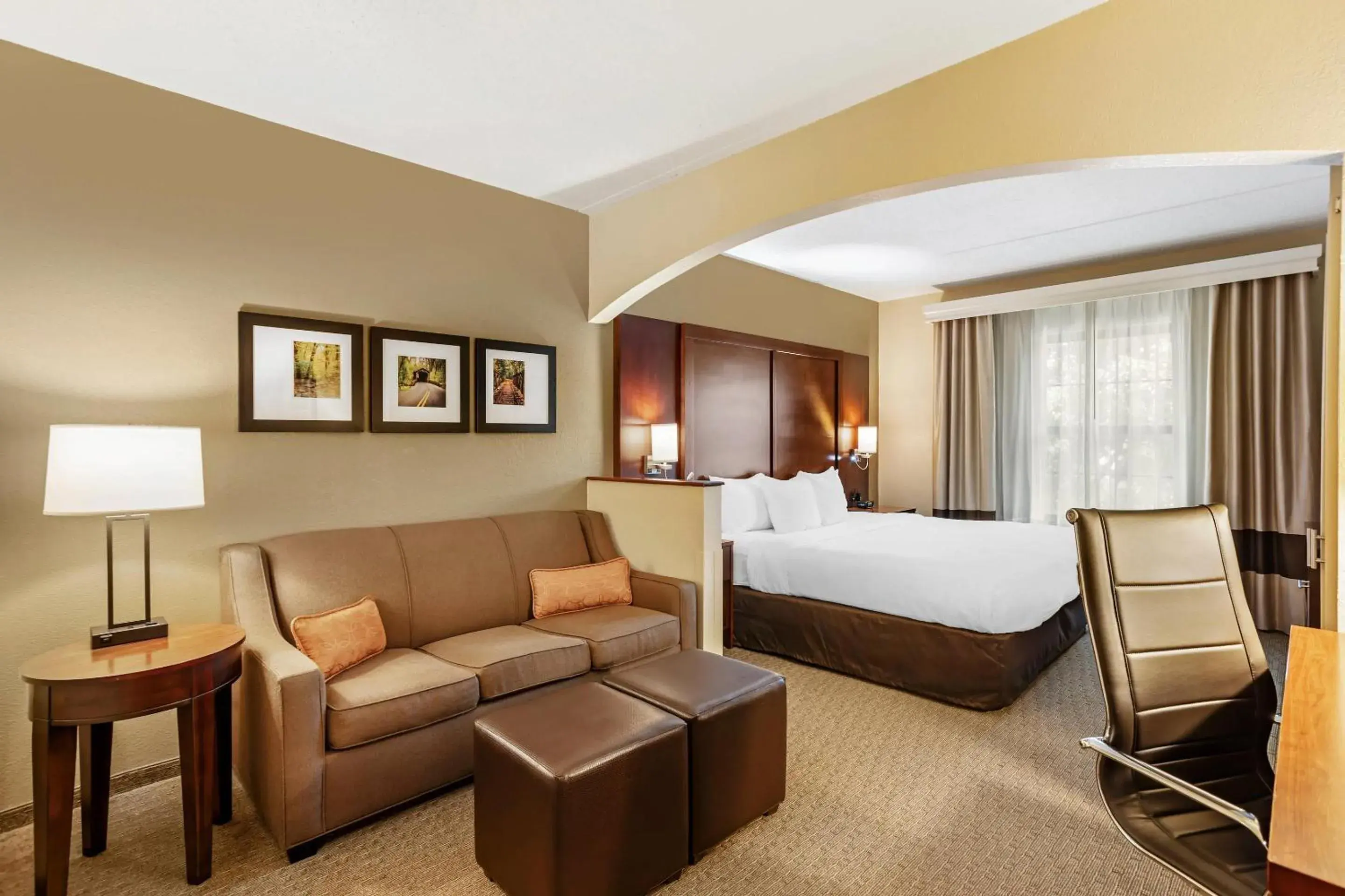 1 King Bed with Sofa Bed, Non Smoking in Comfort Suites State College near Penn State - Steps Away from PSU! 1 King Bed with Sofa Bed, Non Smoking in Comfort Suites State College near Penn State - Steps Away from PSU!