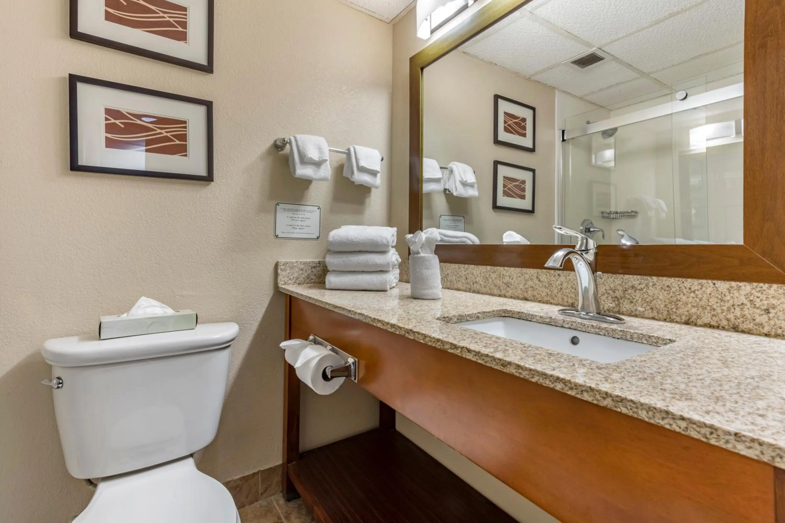 Bathroom in Comfort Inn Cranberry Twp