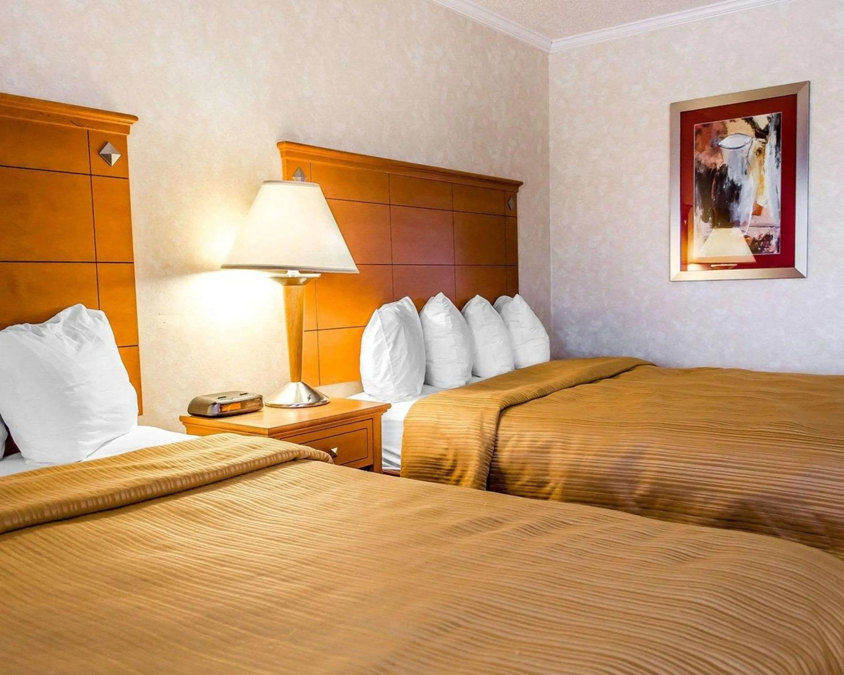 Photo of the whole room, Bed in Quality Inn Harrisburg - Hershey Area