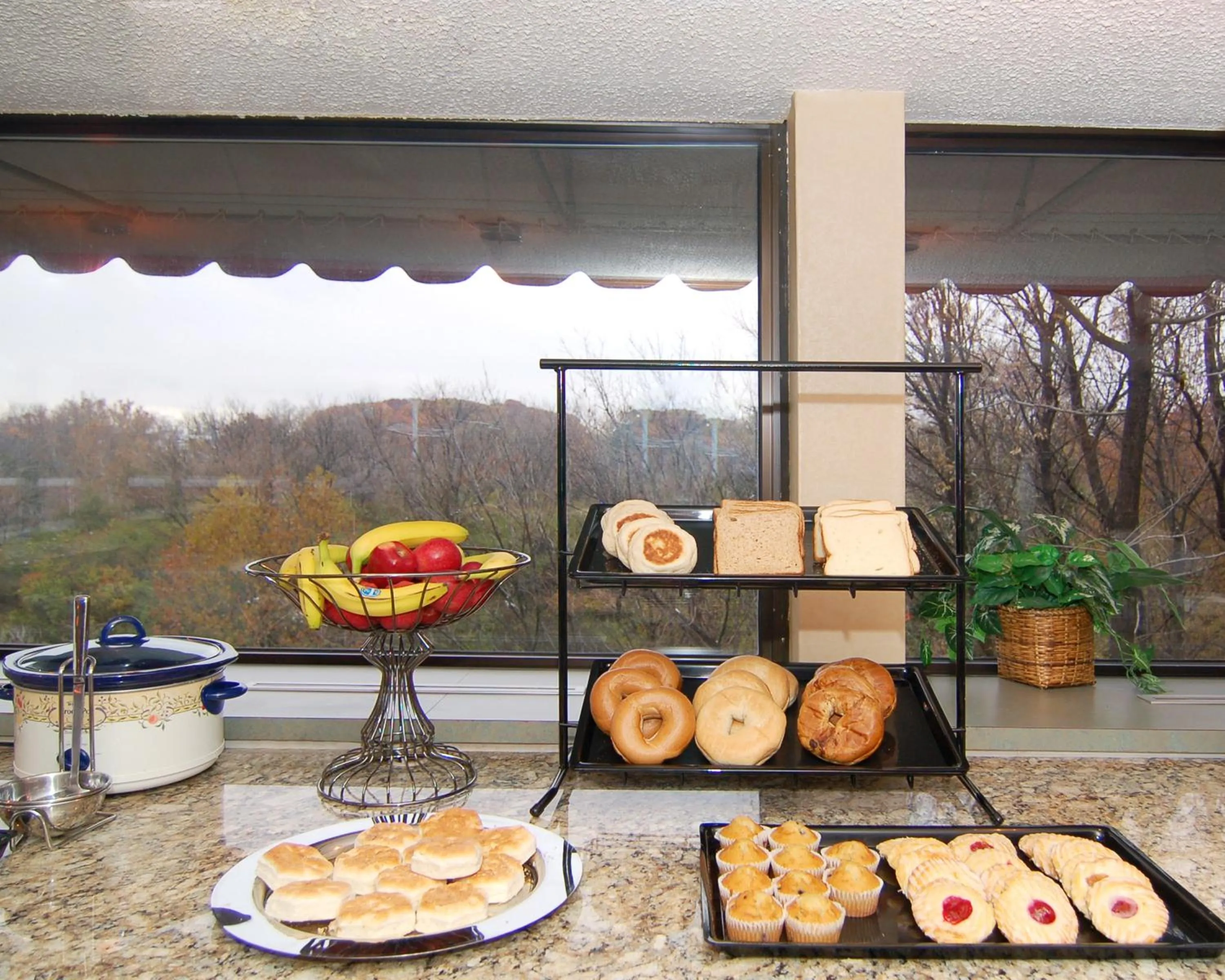 Food and drinks in The View Inn & Suites Bethlehem / Allentown / Lehigh Airport