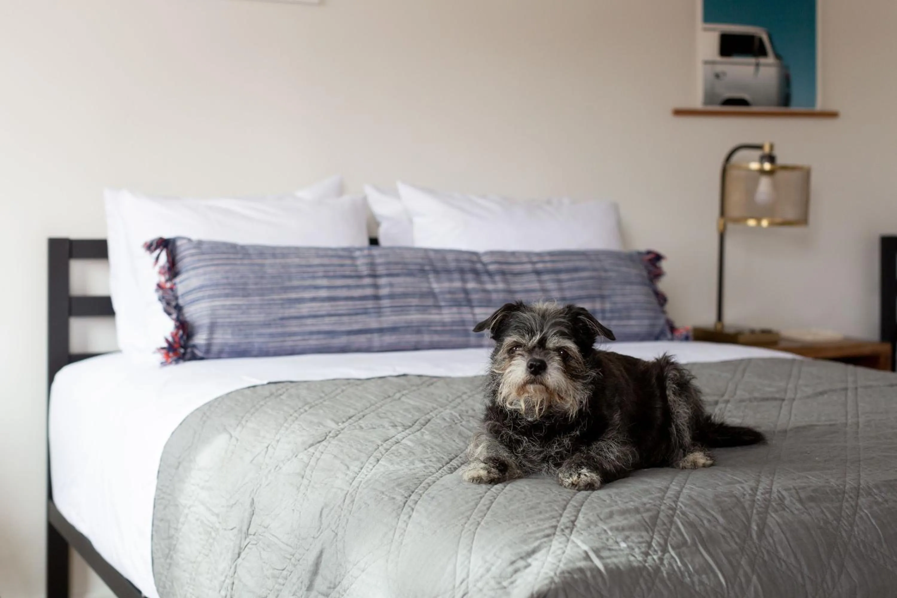 Bed in Spoke and Vine Motel