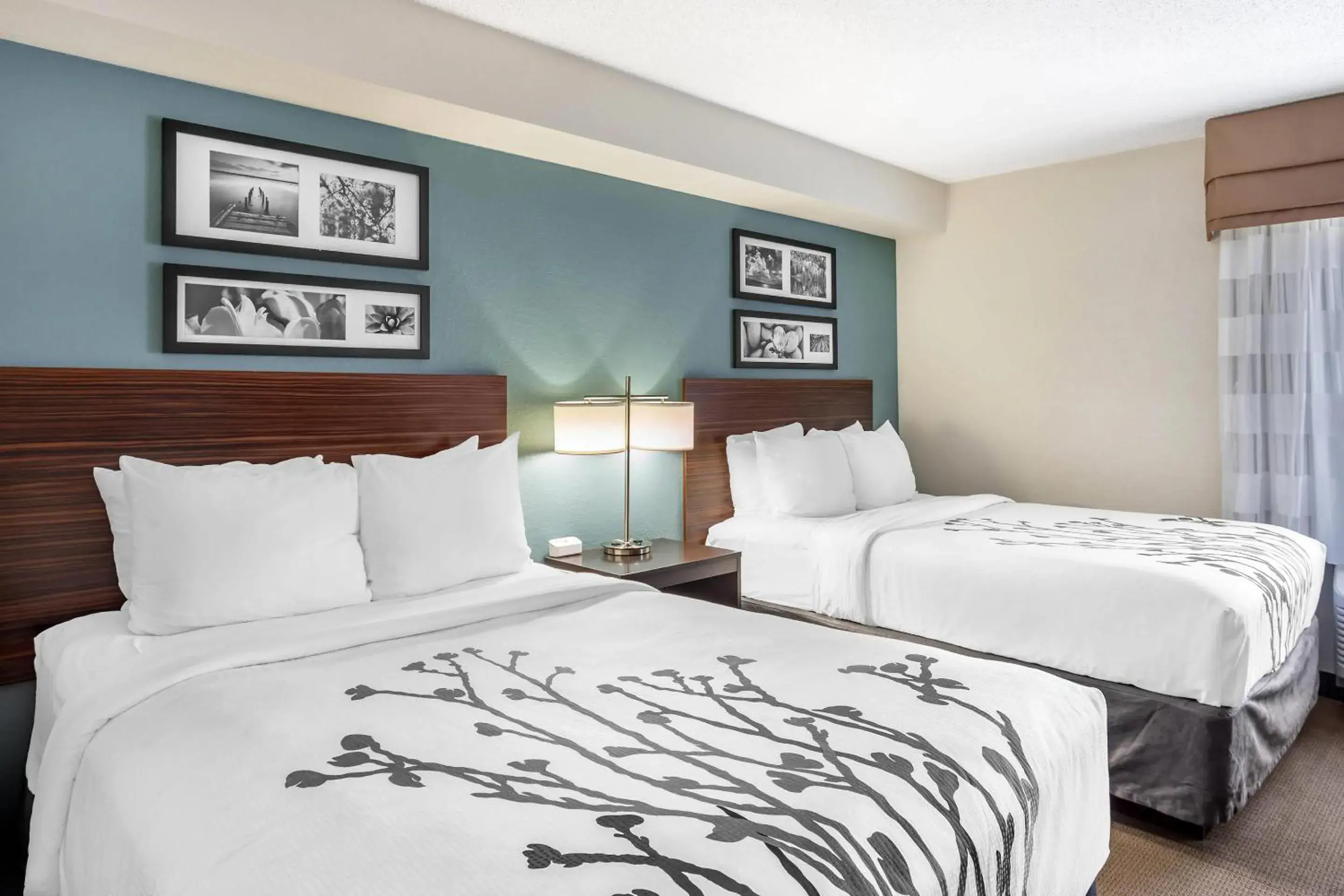 Double Room with Two Double Beds - Non-Smoking in Sleep Inn near Penn State - State College, PA Double Room with Two Double Beds - Non-Smoking in Sleep Inn near Penn State - State College, PA