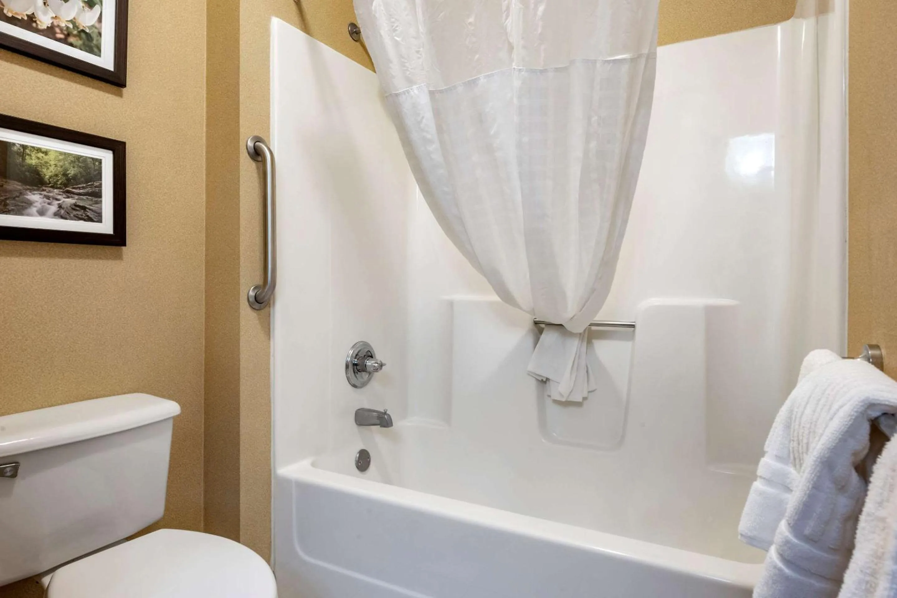 Bathroom in Comfort Inn Meadowlands