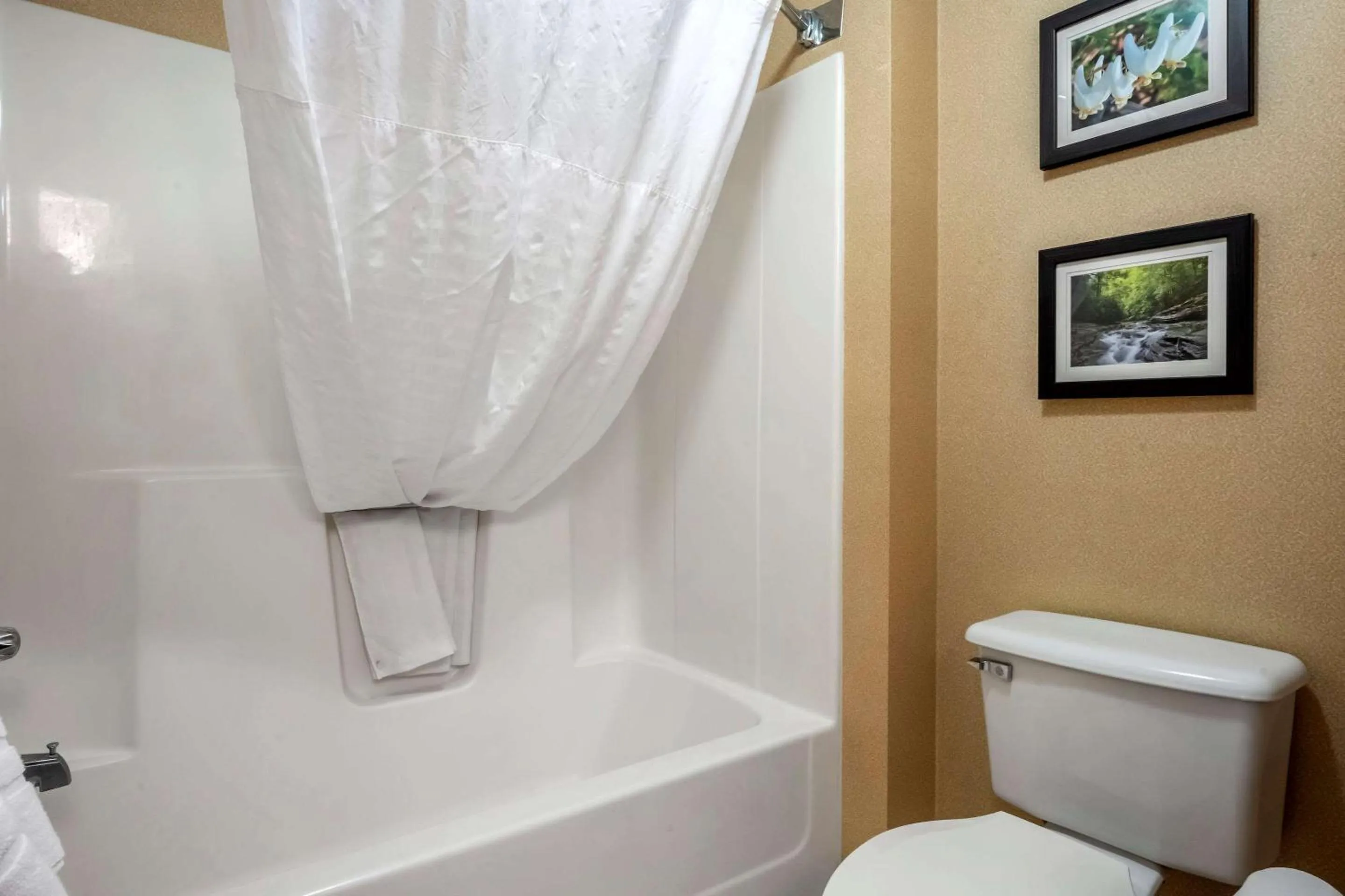 Bathroom in Comfort Inn Meadowlands