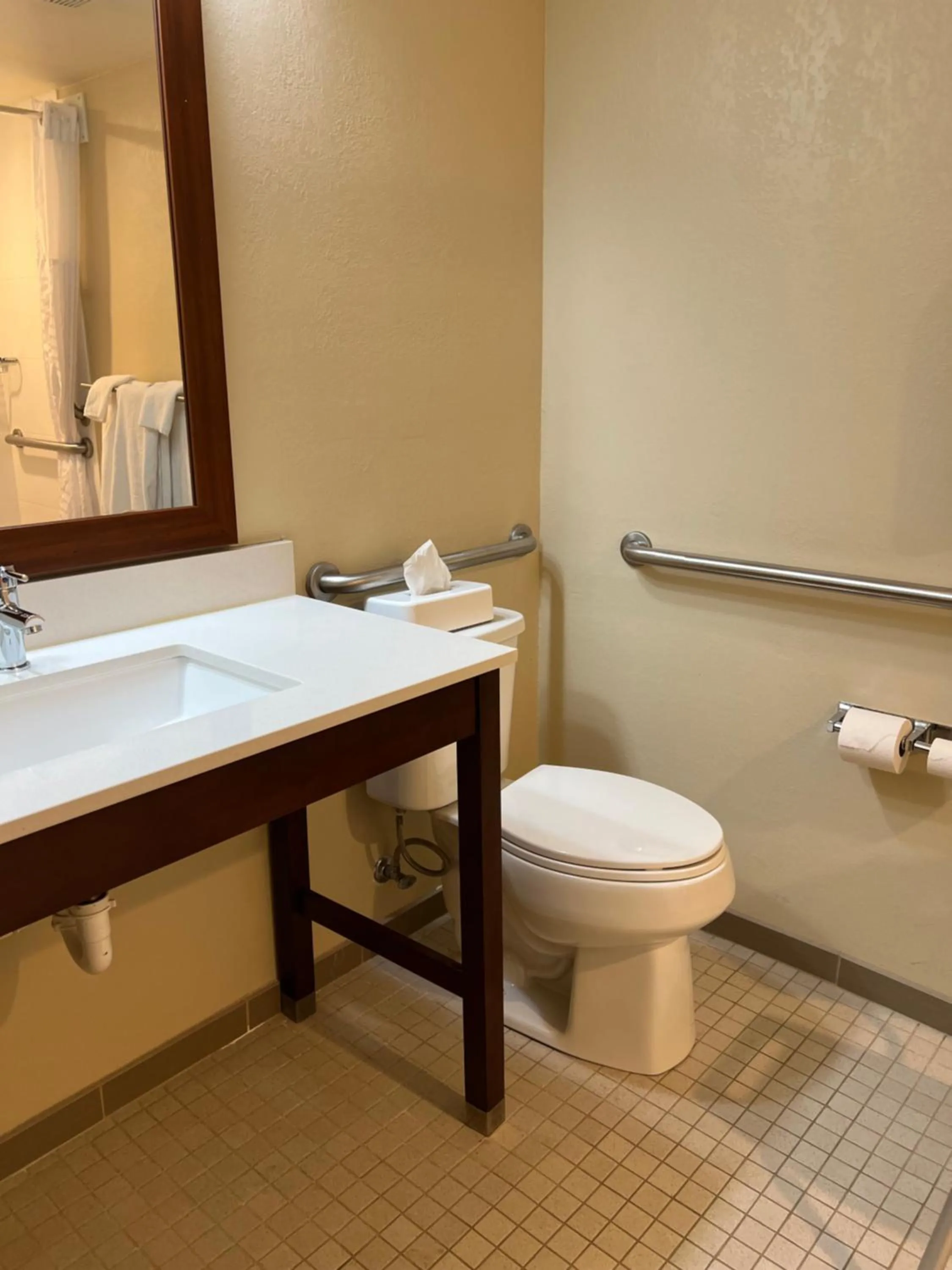 acessibility in Comfort Inn & Suites Wilkes Barre - Arena