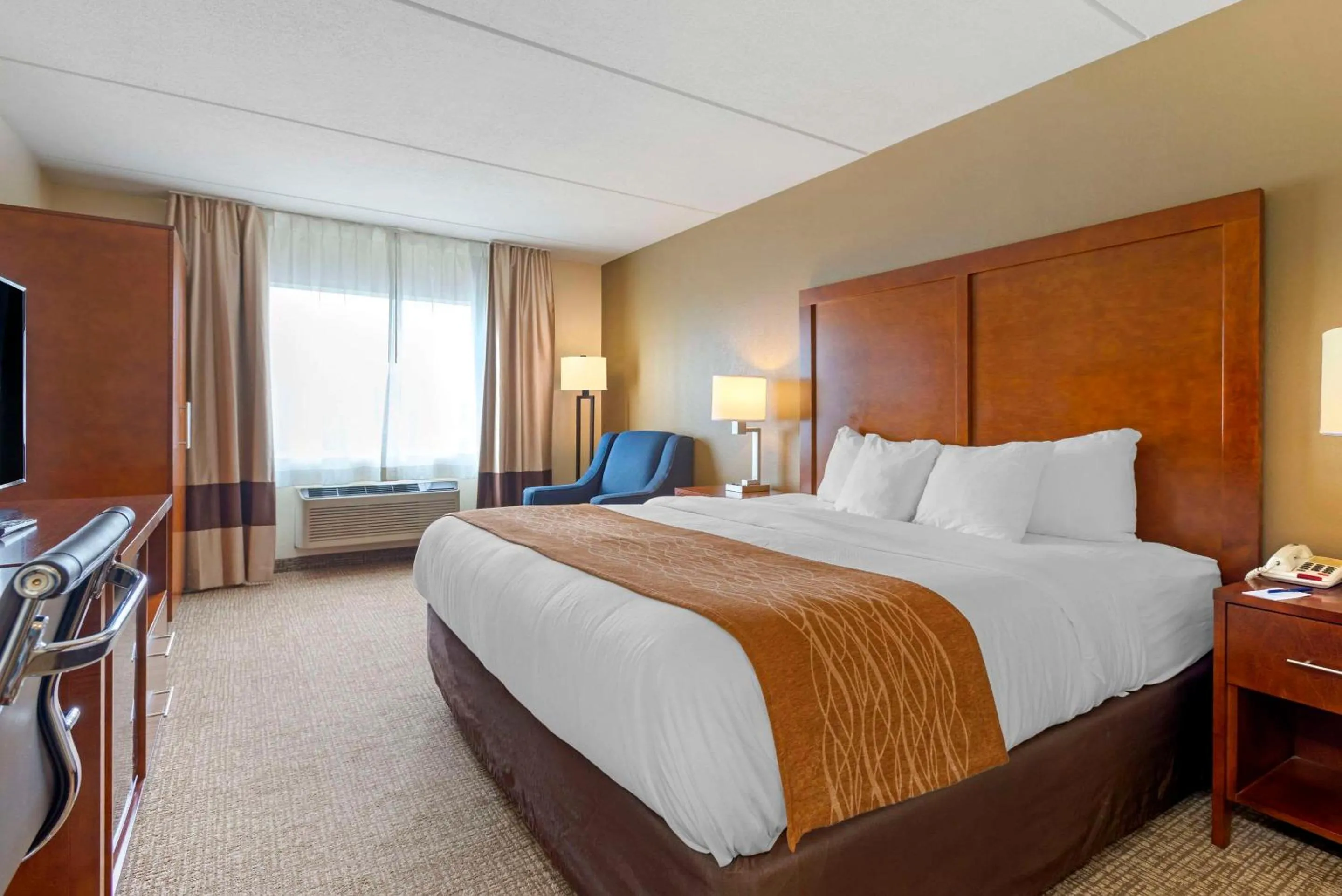 Standard King Room - Non-Smoking  in Comfort Inn & Suites Wilkes Barre - Arena