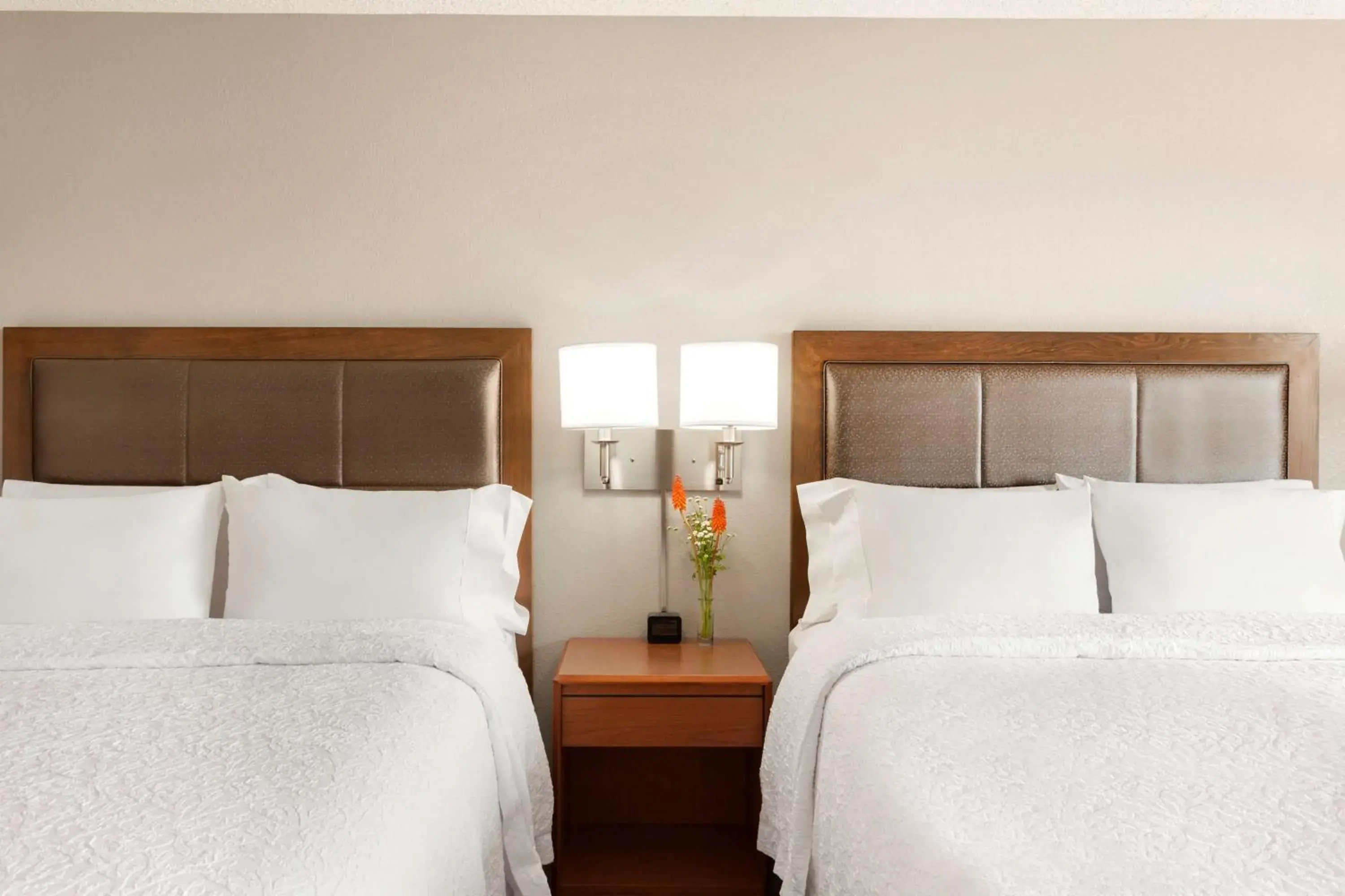 Queen Room with Two Queen Beds and Mountain View - single occupancy in Hampton Inn & Suites Denver-Cherry Creek Queen Room with Two Queen Beds and Mountain View - single occupancy in Hampton Inn & Suites Denver-Cherry Creek