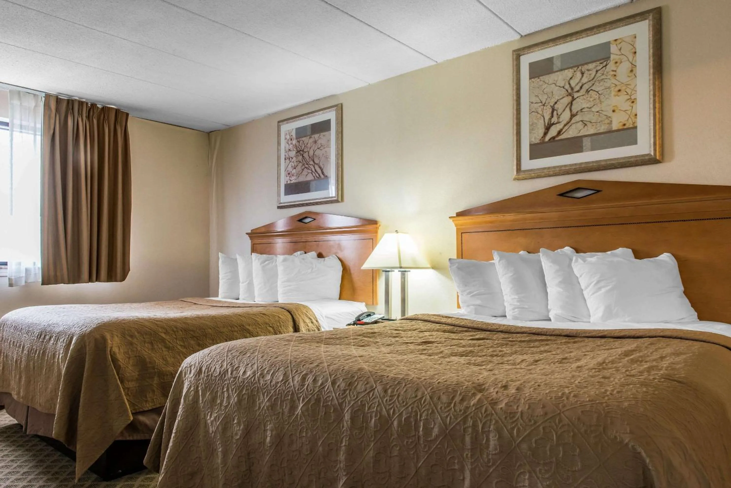 Photo of the whole room, Bed in Quality Inn & Suites Fairview - Erie