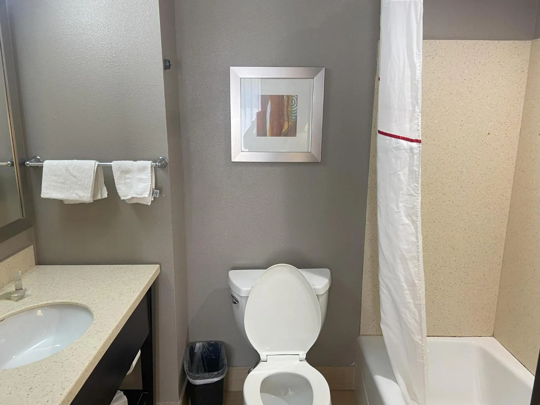 Bathroom in Red Roof Inn Pittsburgh - McKnight Rd