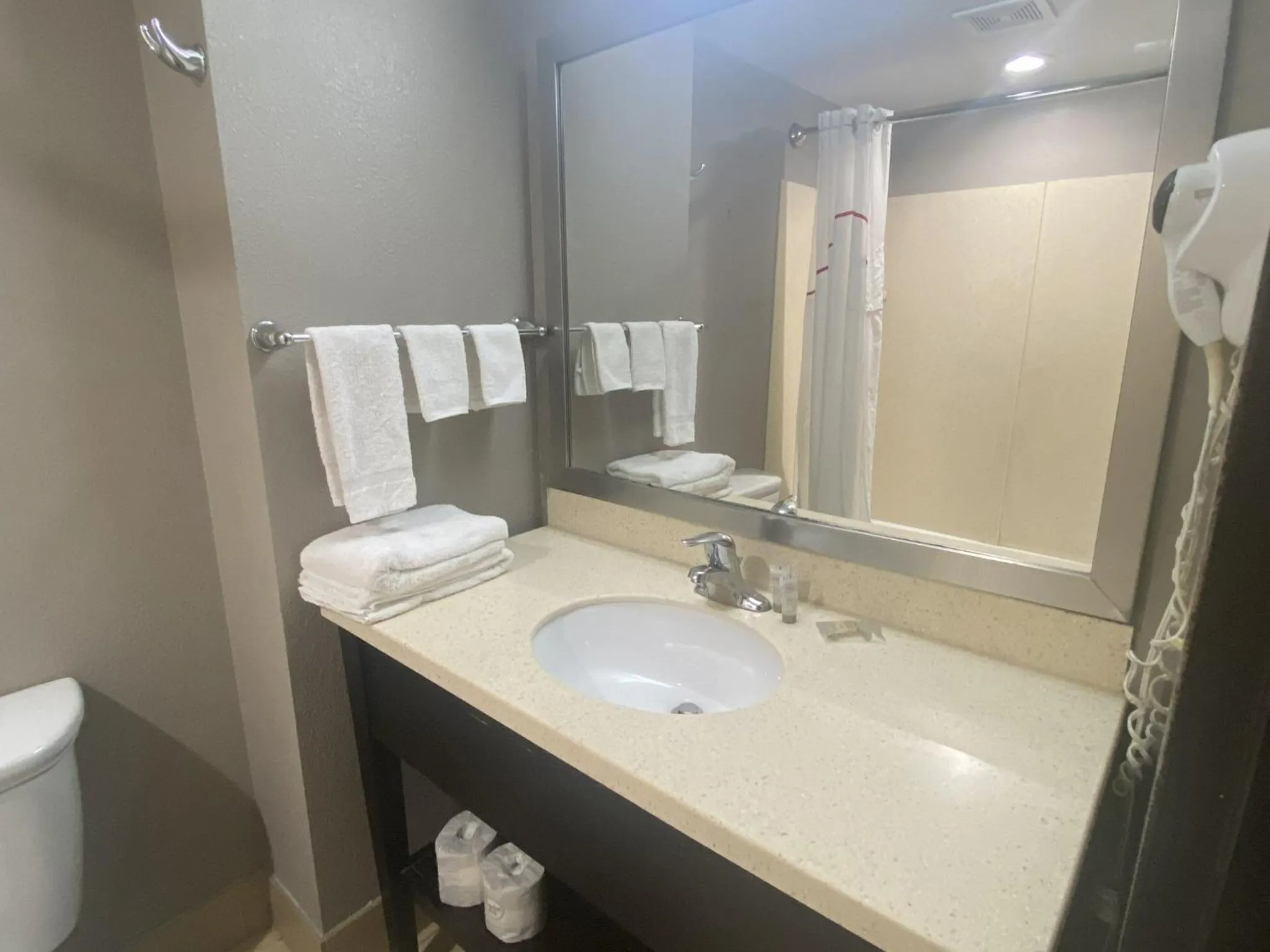 Bathroom in Red Roof Inn Pittsburgh - McKnight Rd