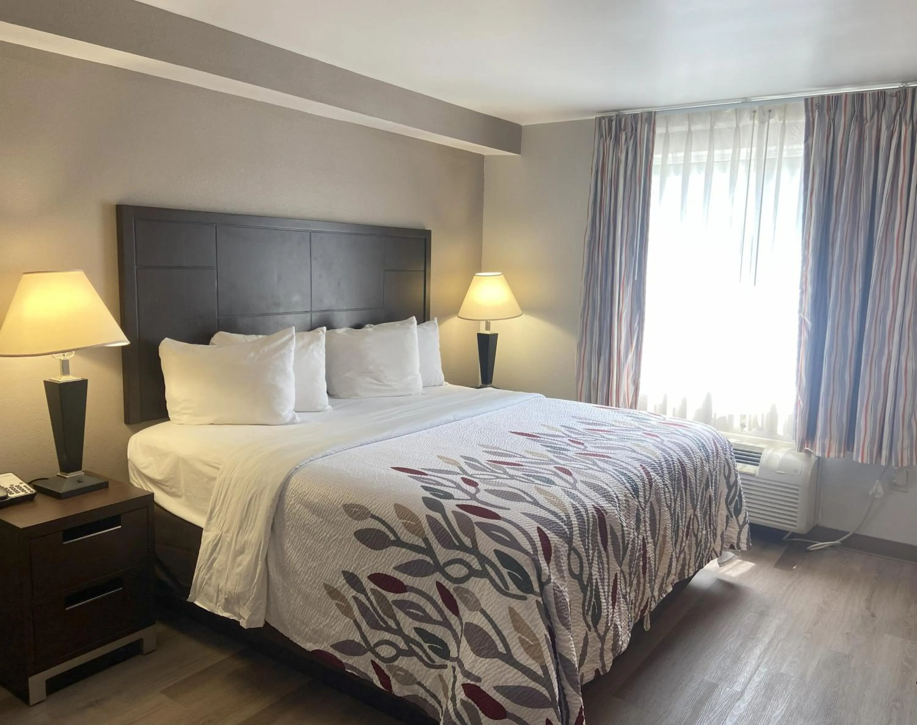 Photo of the whole room, Bed in Red Roof Inn Pittsburgh - McKnight Rd