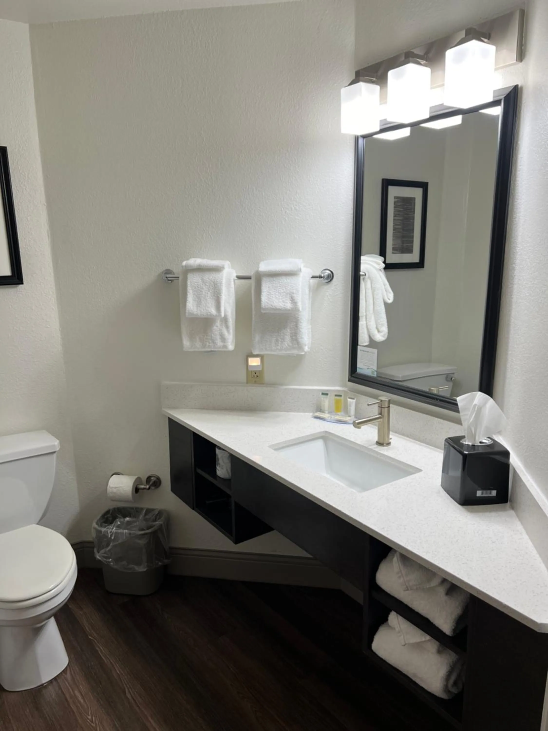 Toilet in Days Inn by Wyndham Penn State