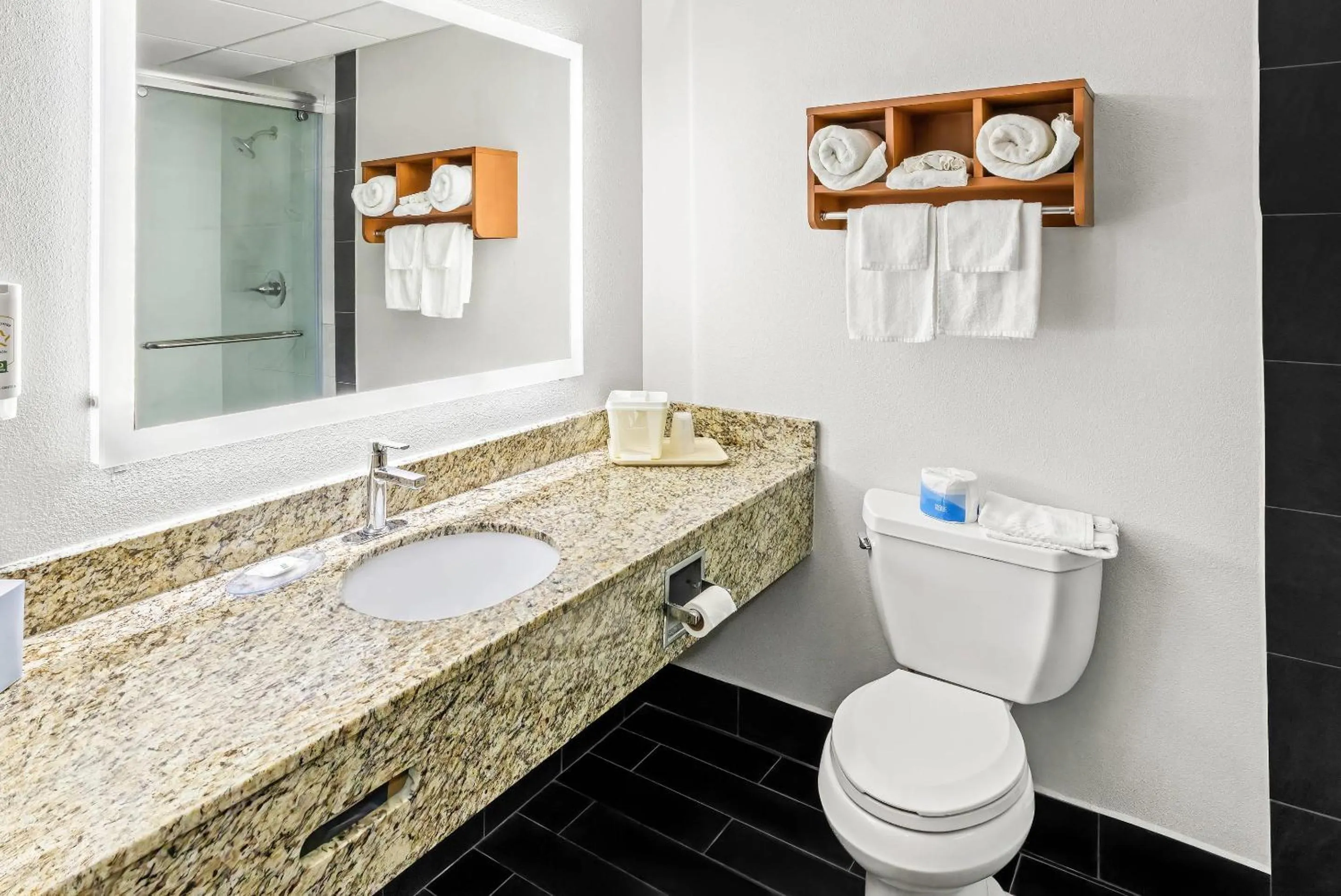 Bedroom in Quality Inn & Suites Richburg I-77