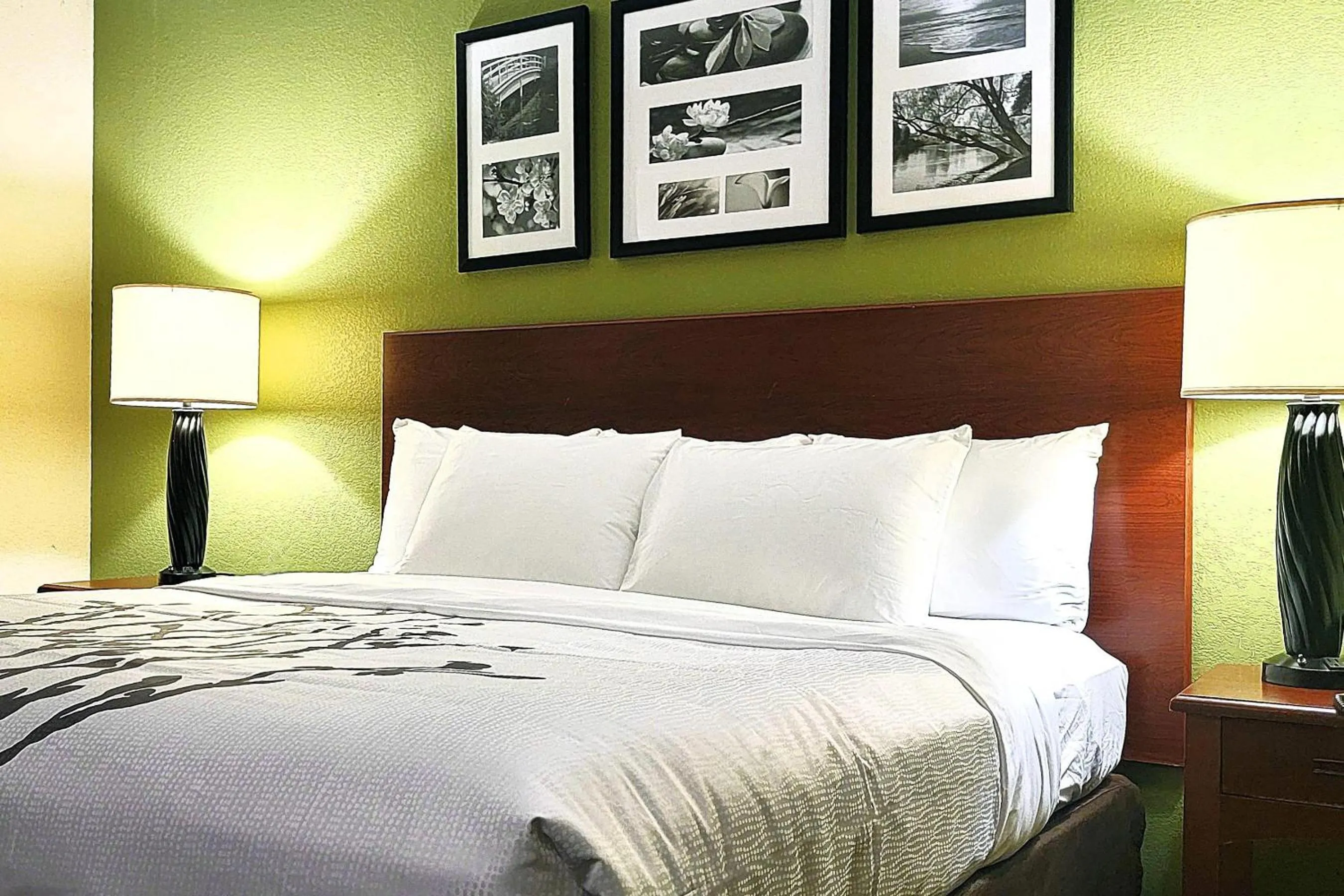 Bedroom in Sleep Inn Near Ft Jackson