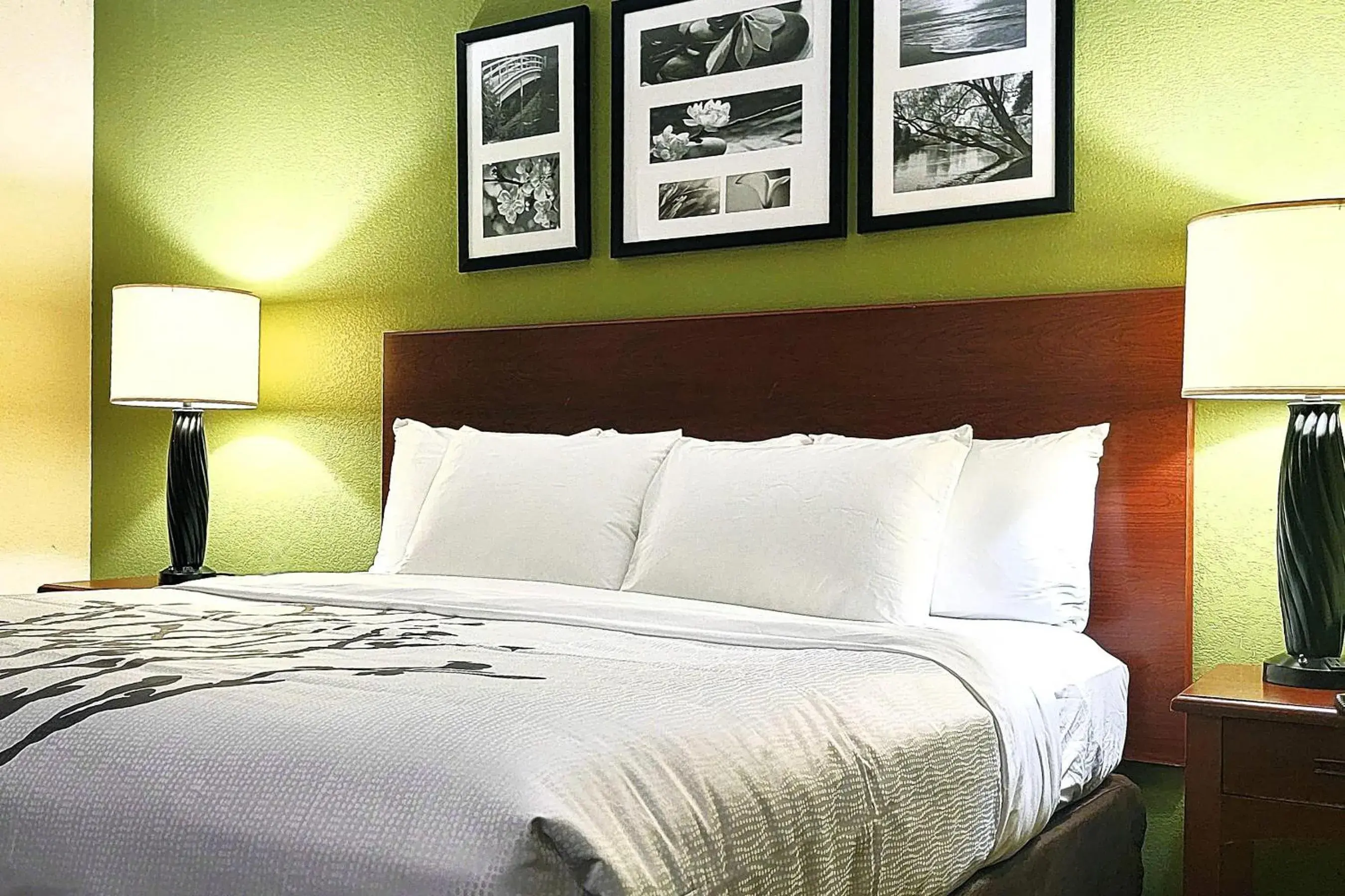 King Room - Non-Smoking in Sleep Inn Near Ft Jackson King Room - Non-Smoking in Sleep Inn Near Ft Jackson