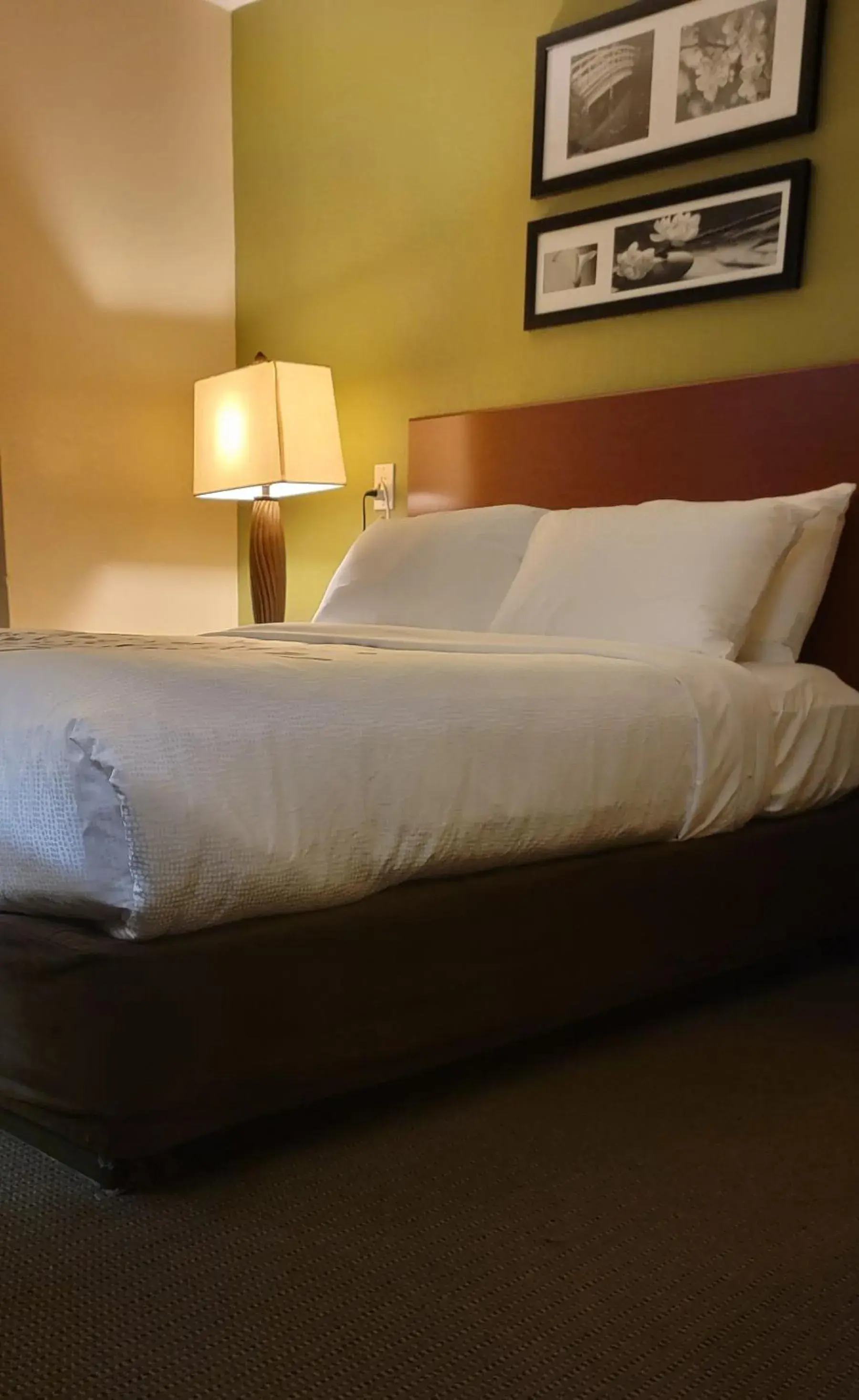 Queen Room with Accessible Tub - Accessible/Non-Smoking in Sleep Inn Near Ft Jackson Queen Room with Accessible Tub - Accessible/Non-Smoking in Sleep Inn Near Ft Jackson