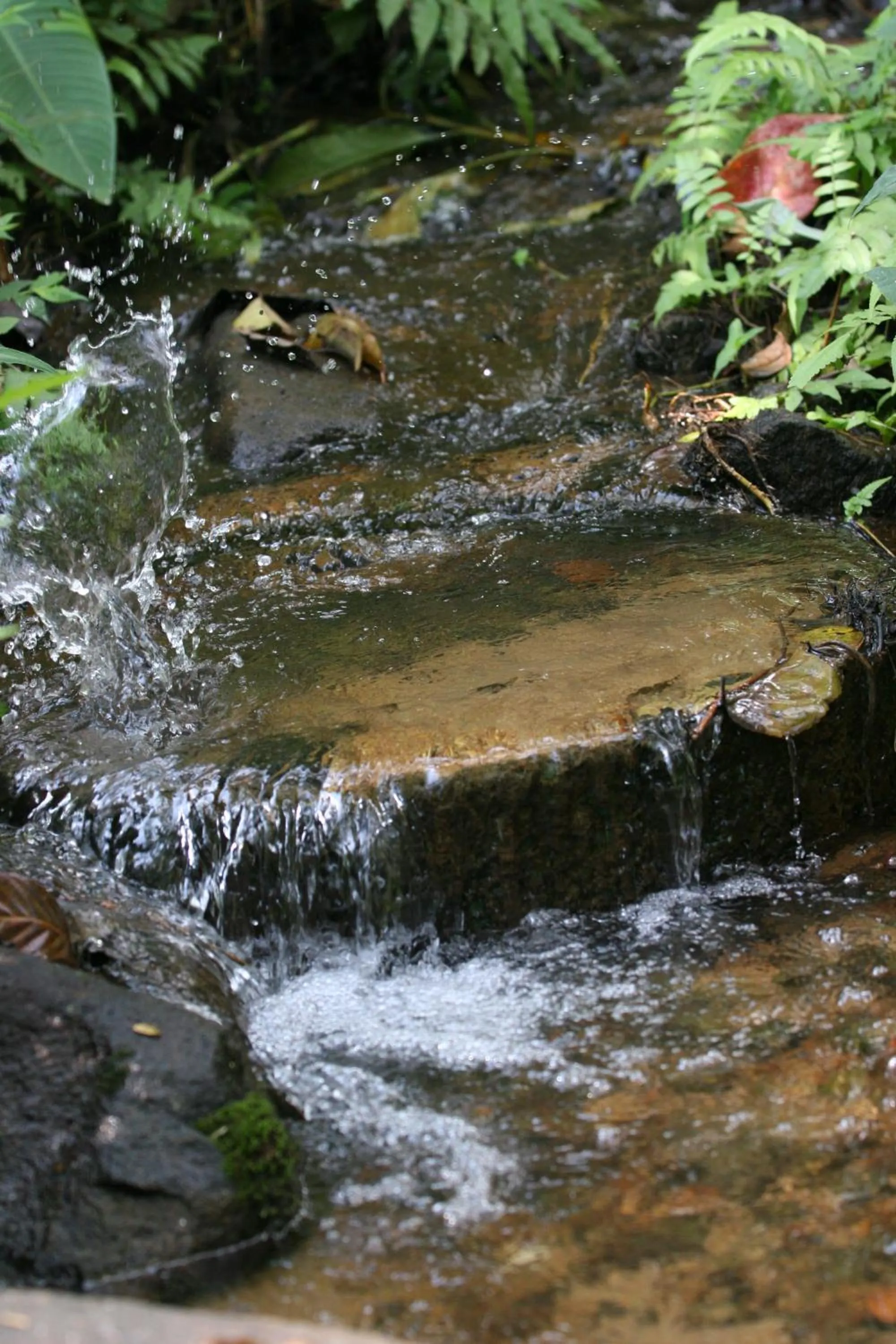 Garden in Villa Darakorn Hill Country House