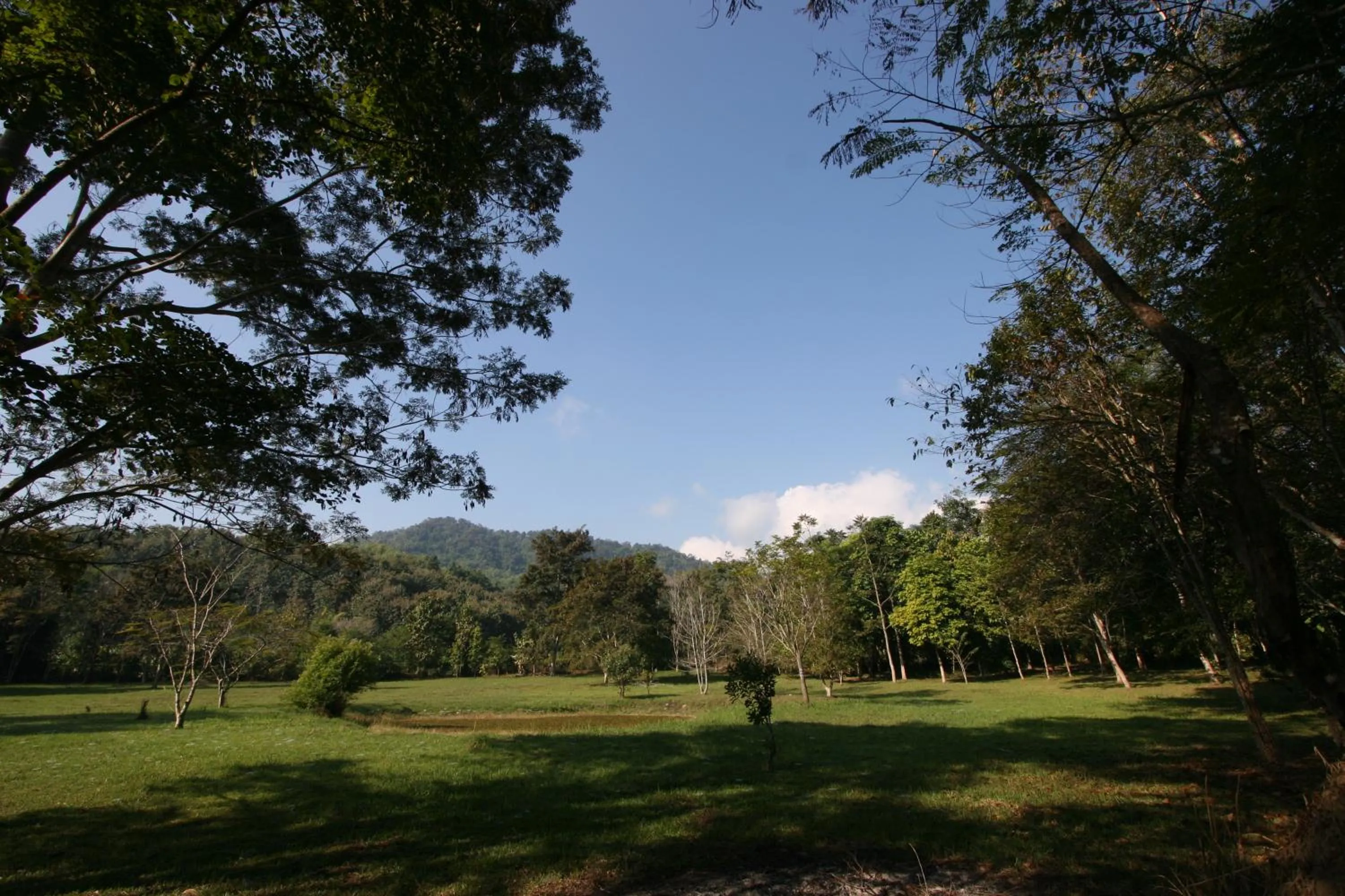 Garden in Villa Darakorn Hill Country House