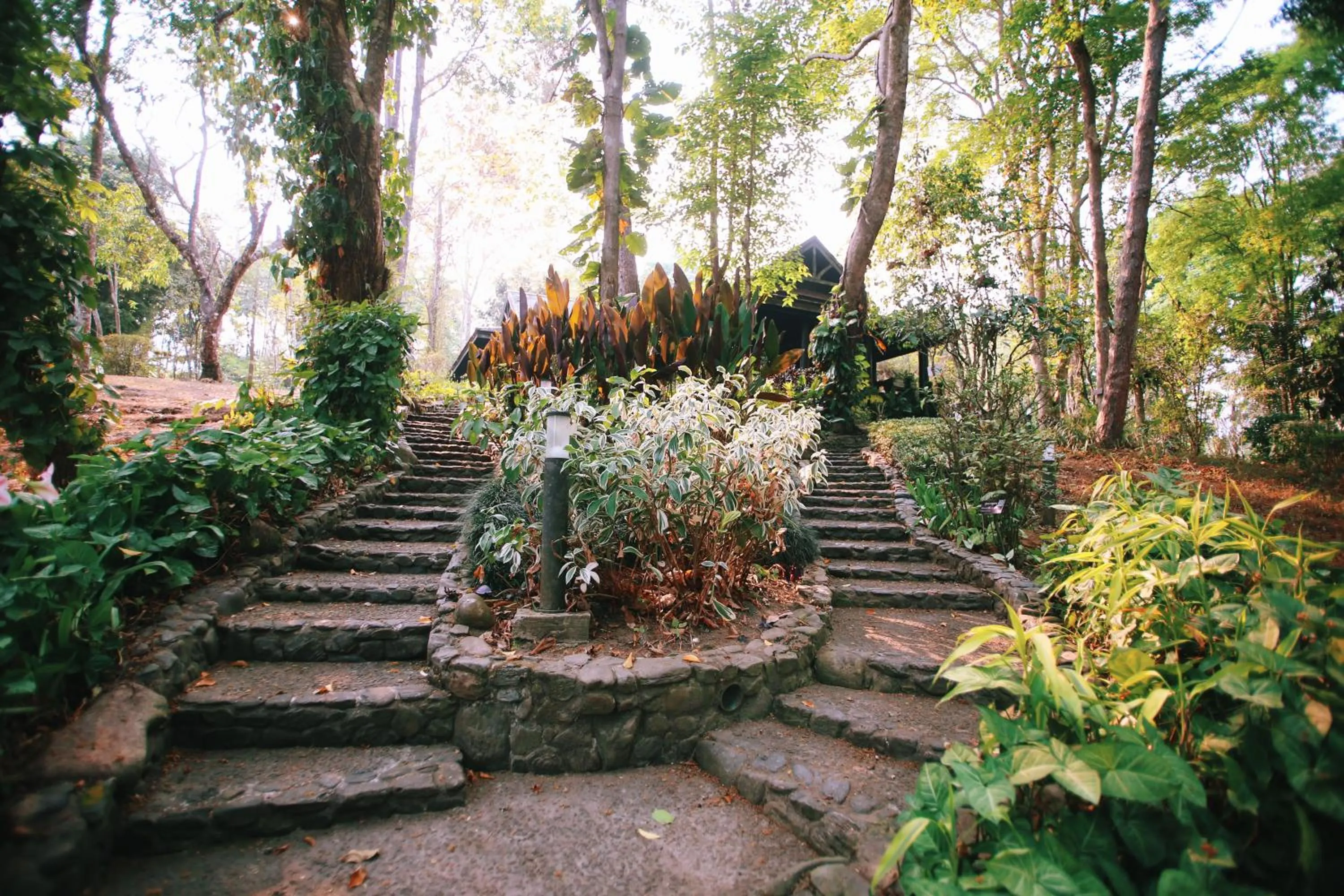 Garden view in Villa Darakorn Hill Country House