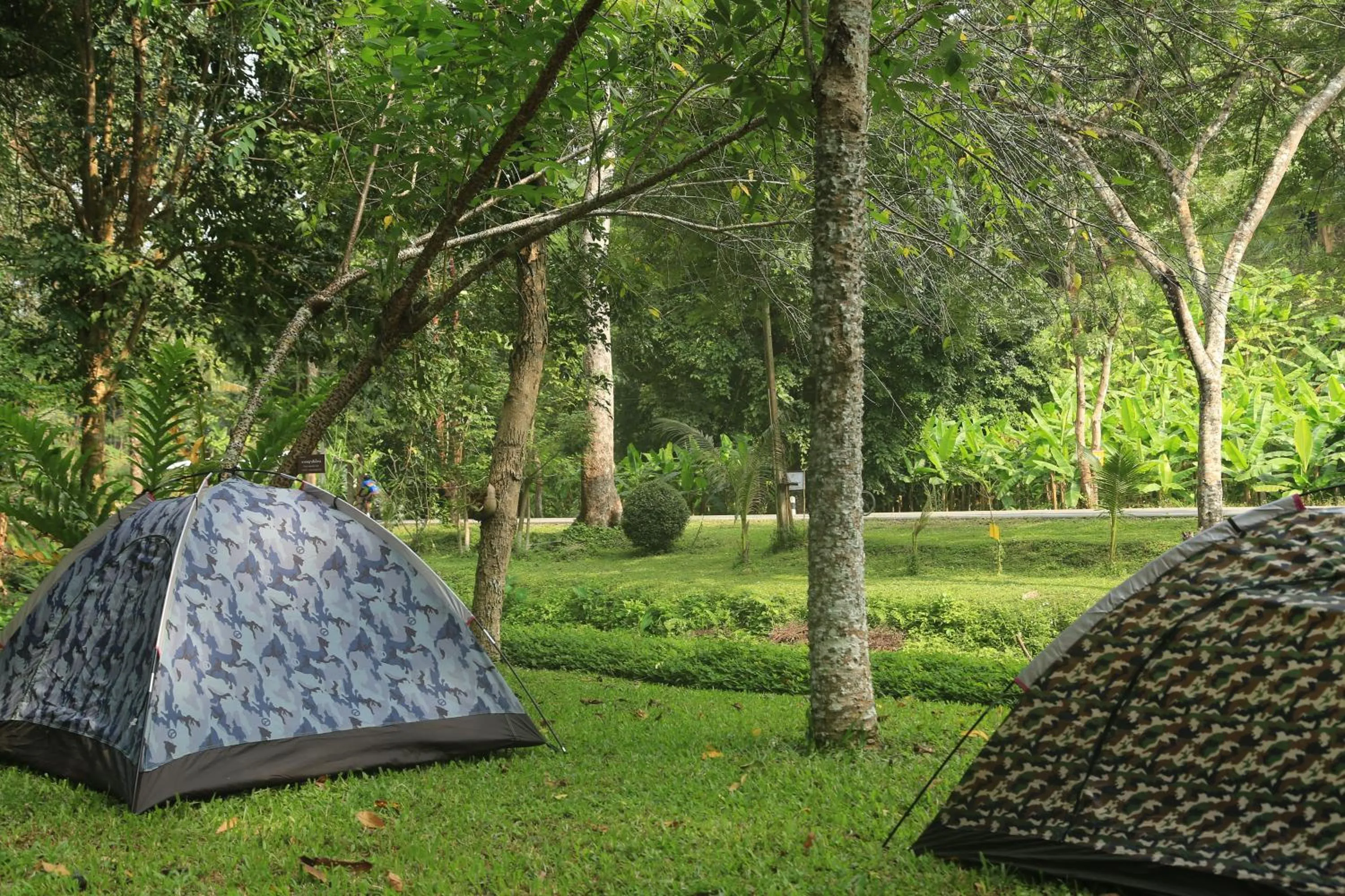 Natural landscape in Villa Darakorn Hill Country House