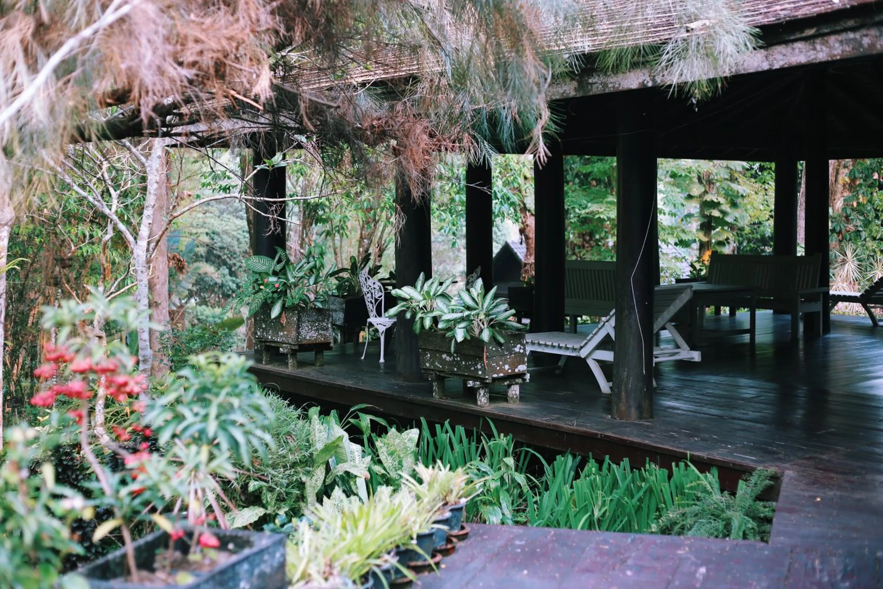 Patio in Villa Darakorn Hill Country House