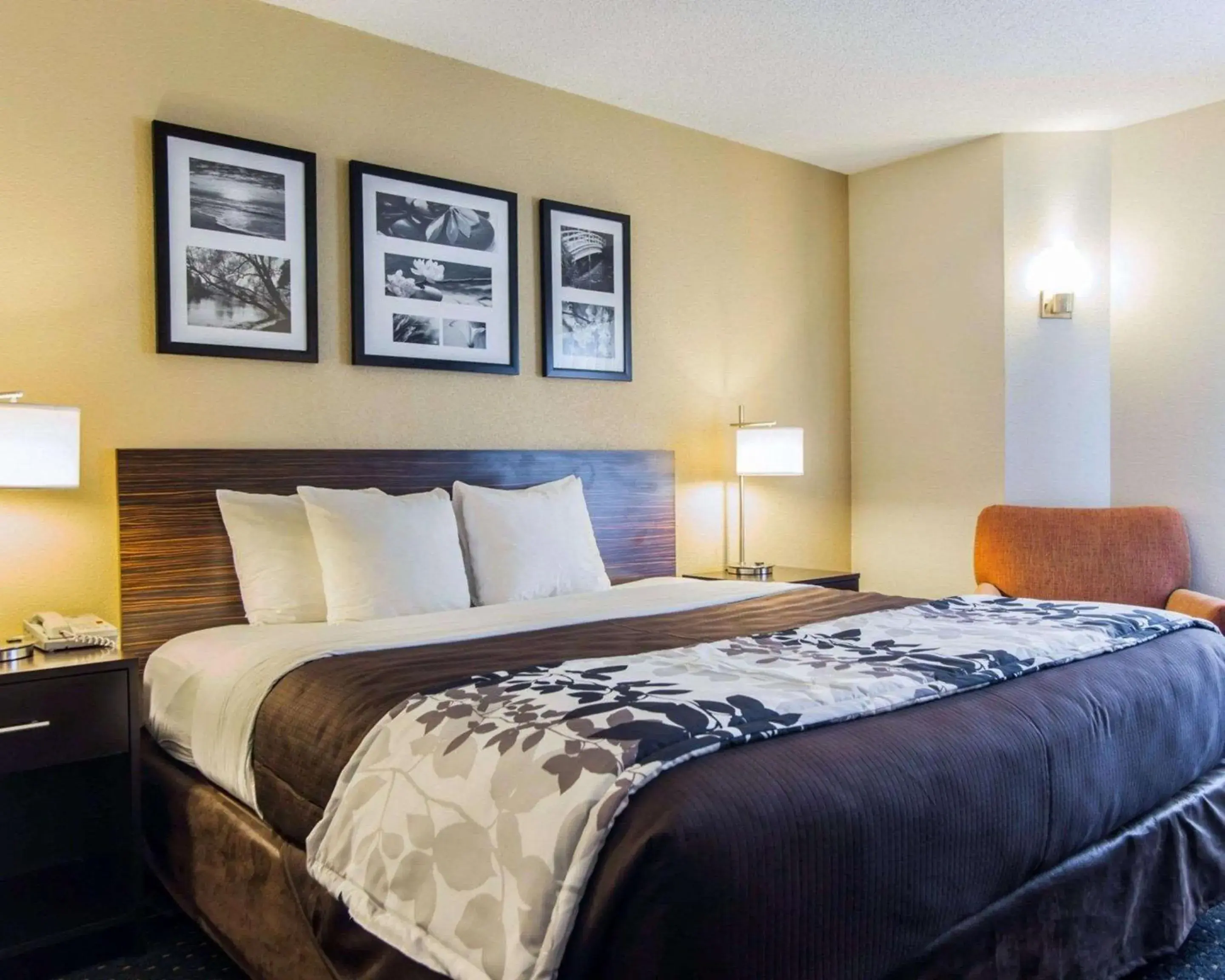 King Room - Non-Smoking in Sleep Inn Florence North King Room - Non-Smoking in Sleep Inn Florence North