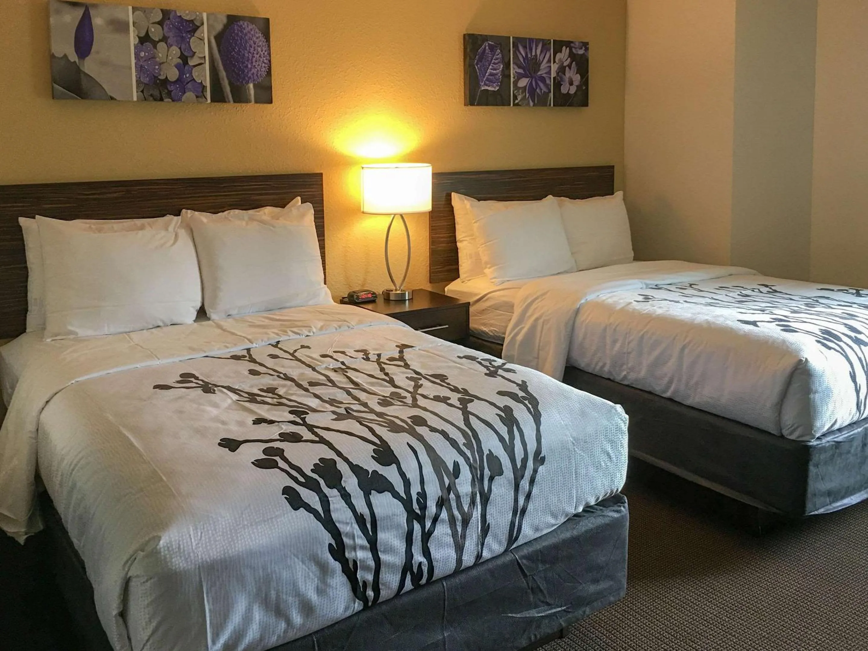 Bedroom, Bed in Sleep Inn Florence North